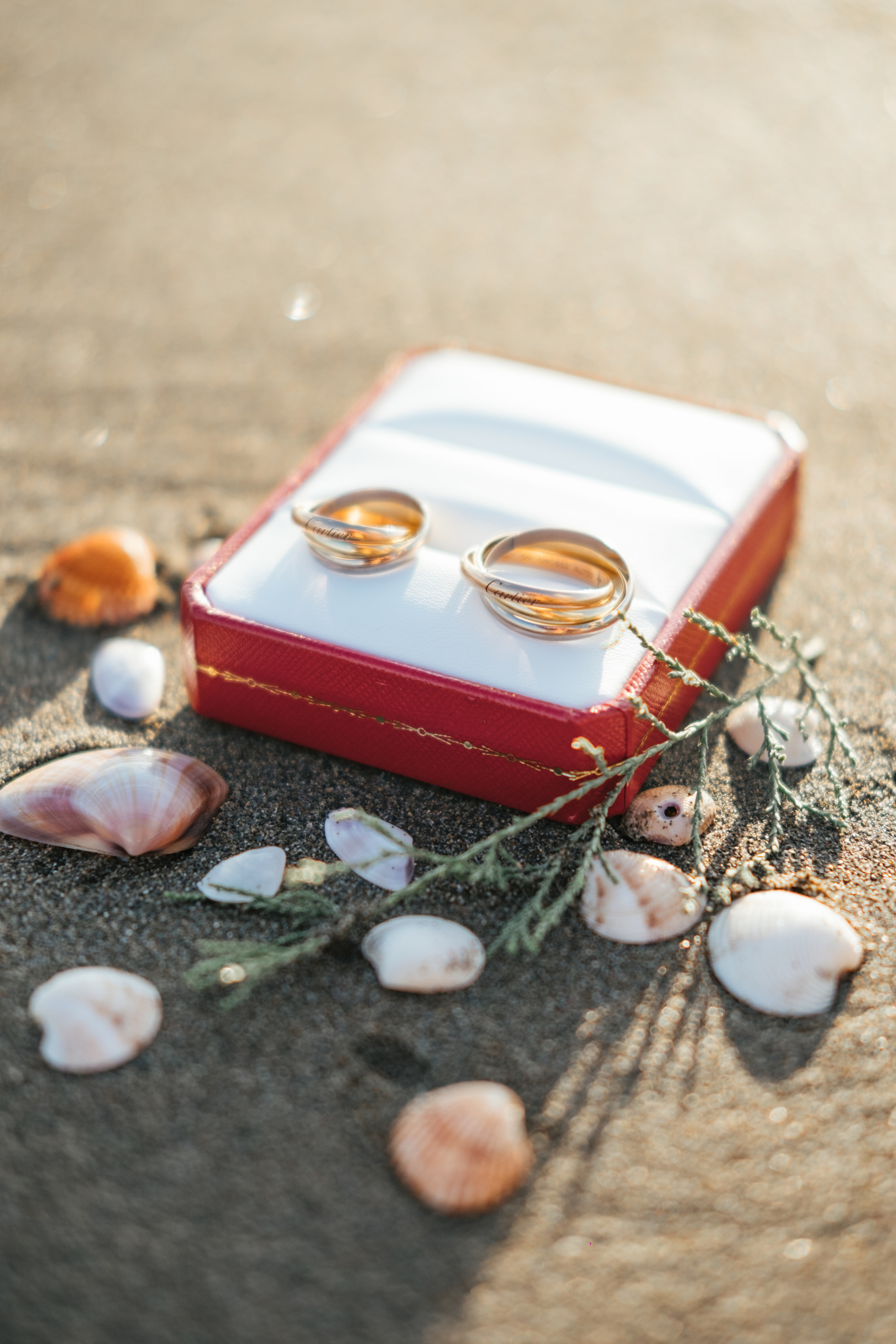 Wedding. Видеограф Фотограф в Сочи