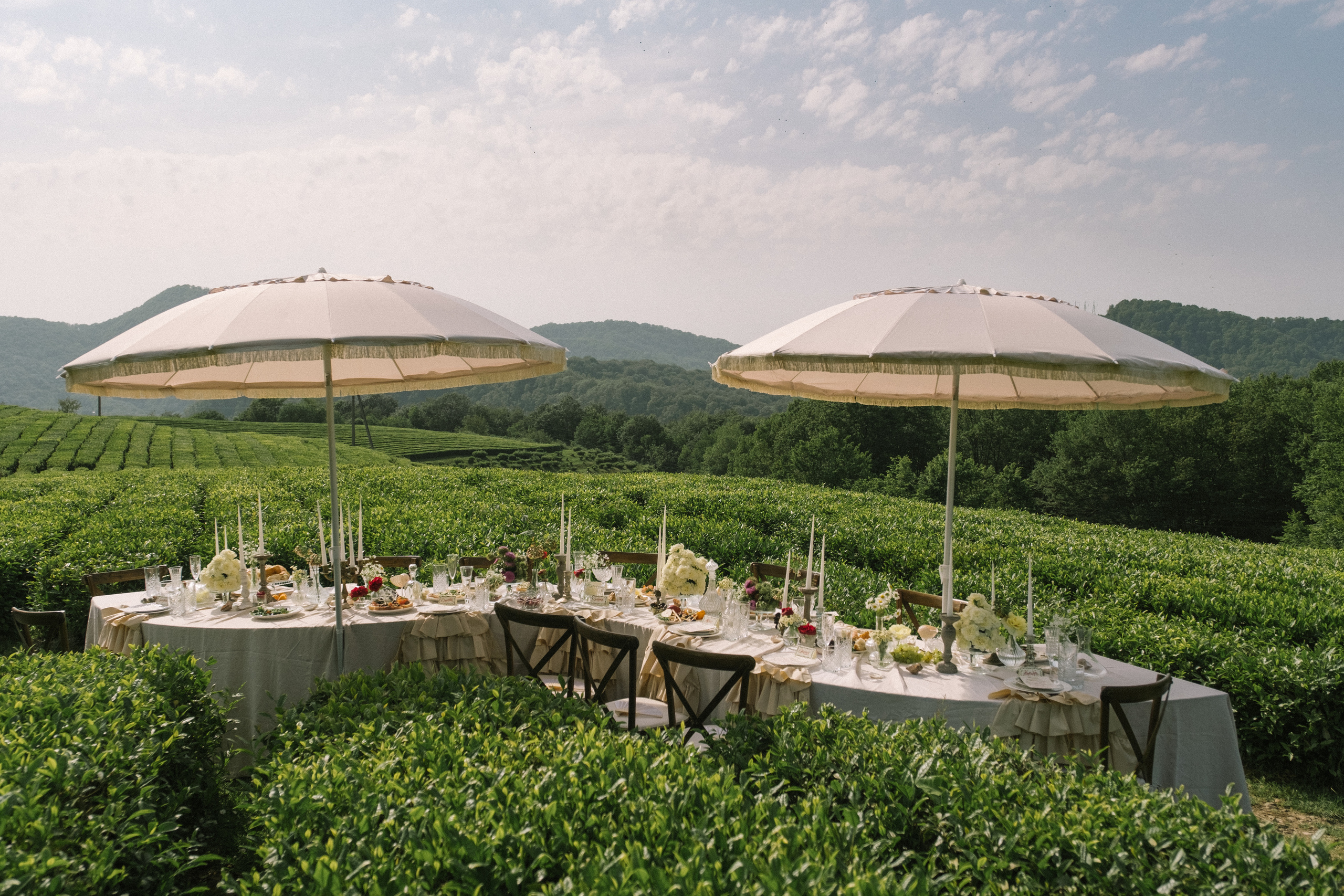 Видеограф Фотограф в Сочи