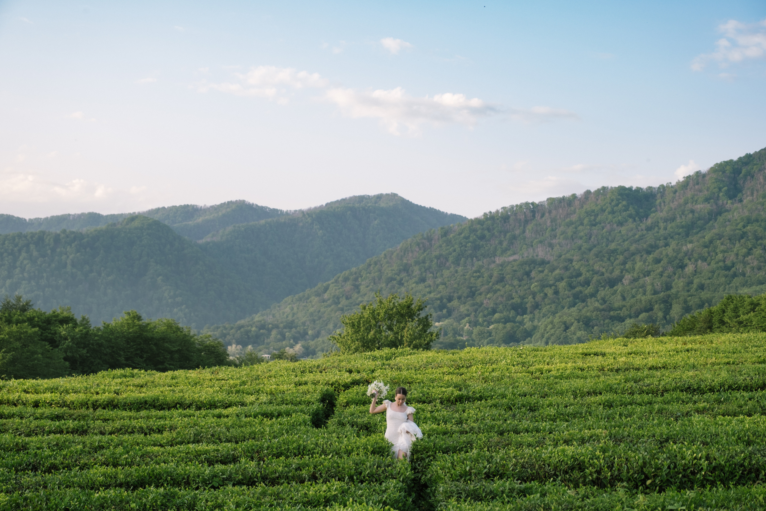 Видеограф Фотограф в Сочи