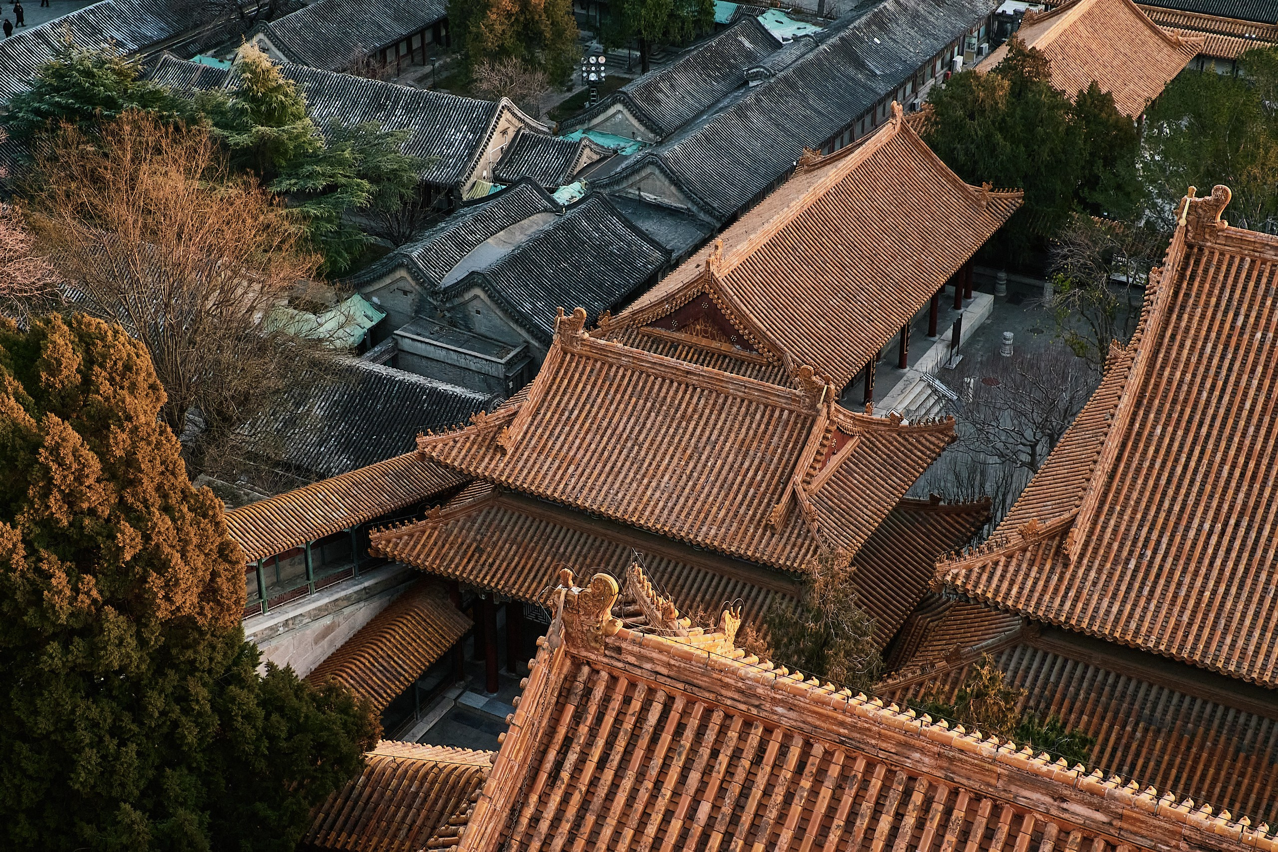 Архитекторы.РФ. Фотограф Артем Дербенев Москва