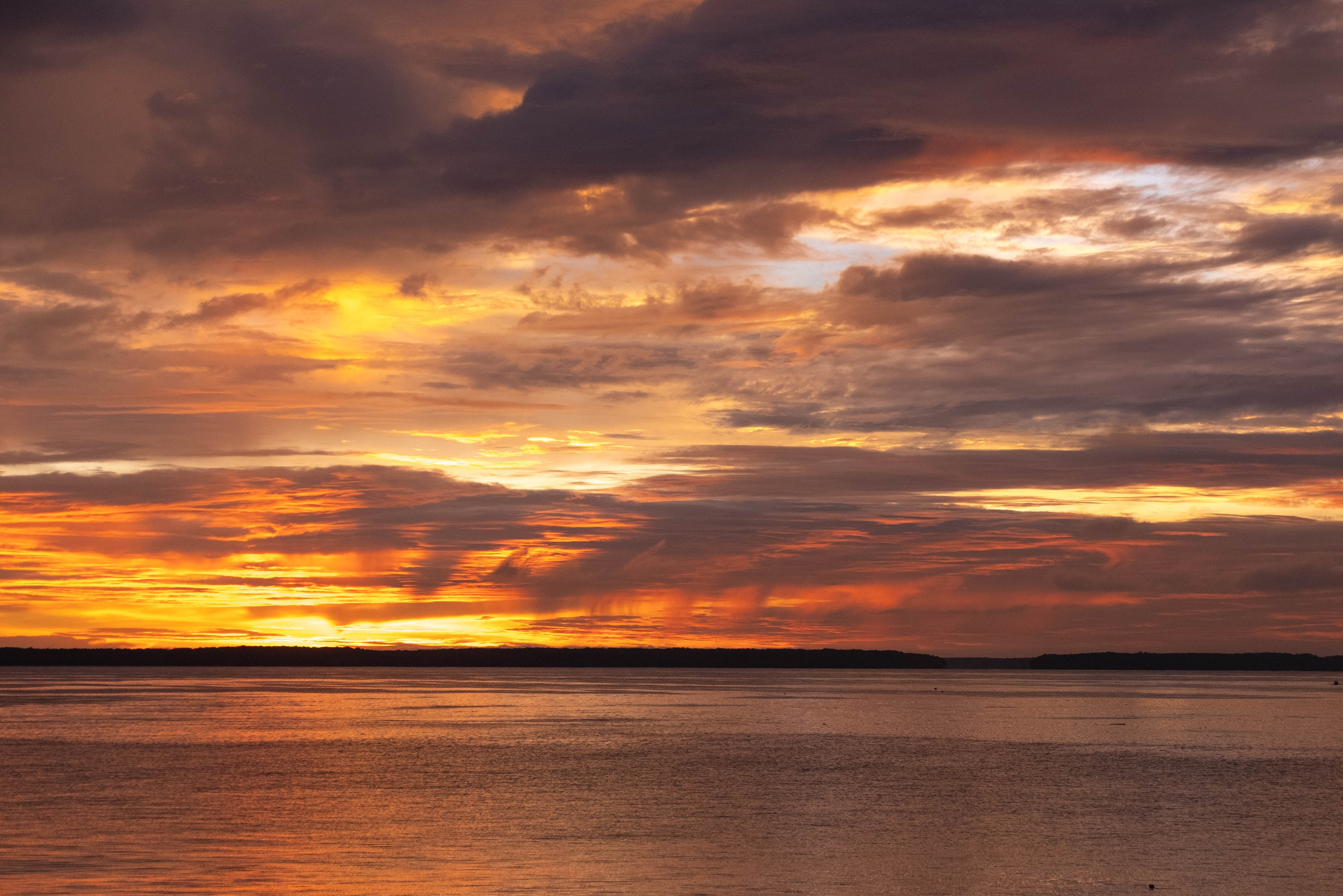 О. Борнео, г. Сандакан. Порт и рынок. Фотографии из путешествий