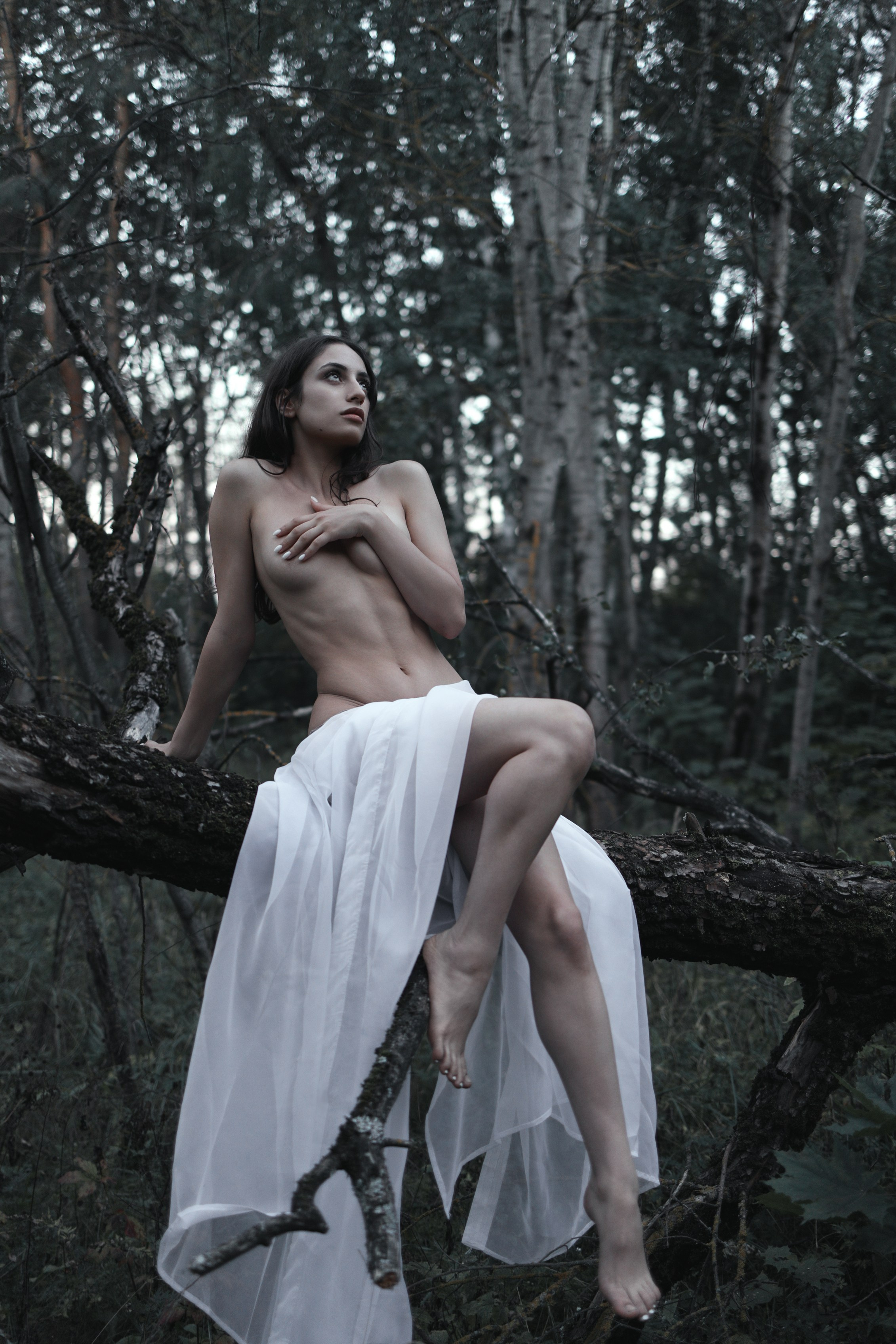 Ύδωρ και δάσος. Арт-фотограф. Coffelisk