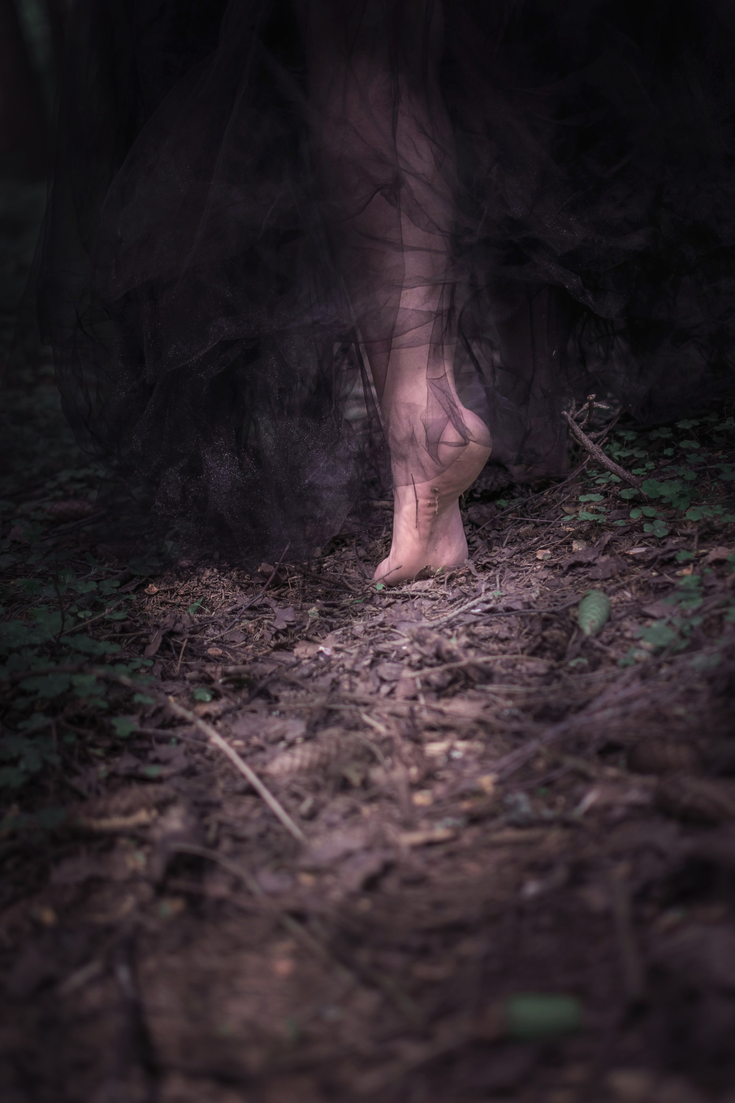 Мрачный лес. Детский и семейный фотограф в Волоколамске Ирина Шарова