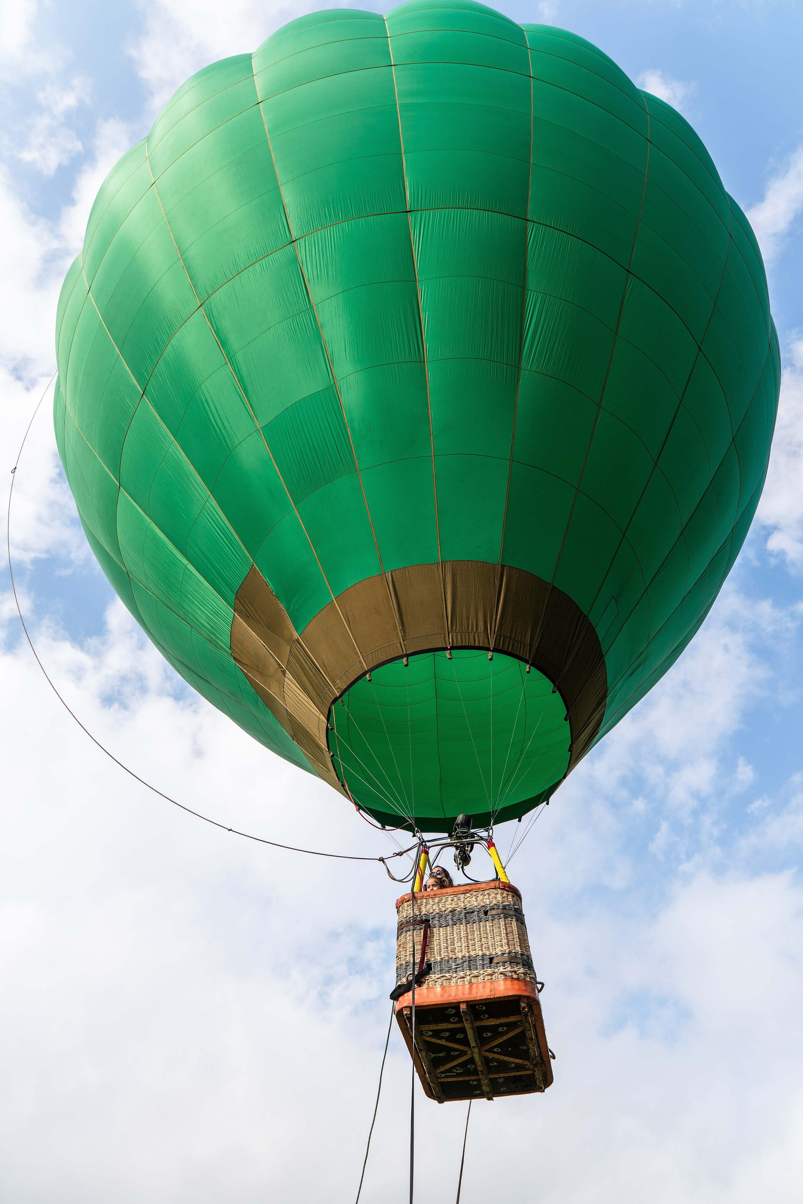 Фотограф на праздник Сочи. Фотограф Сочи
