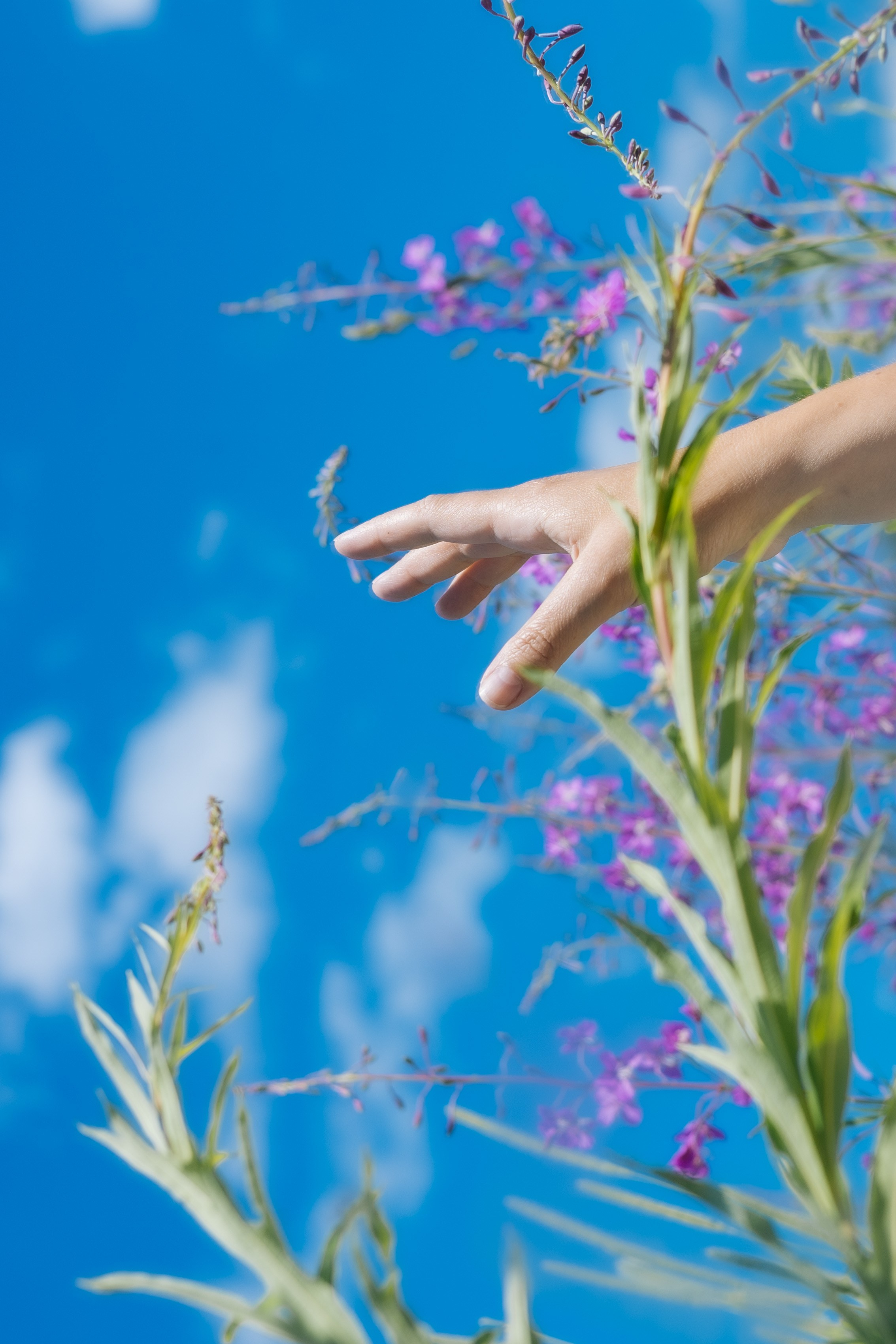 ЮЛЯ ТВОРЧЕСКАЯ. Фотограф Красноярск съемки лавстори, фотосессия в студии, портретная съемка, творческие фотосессии