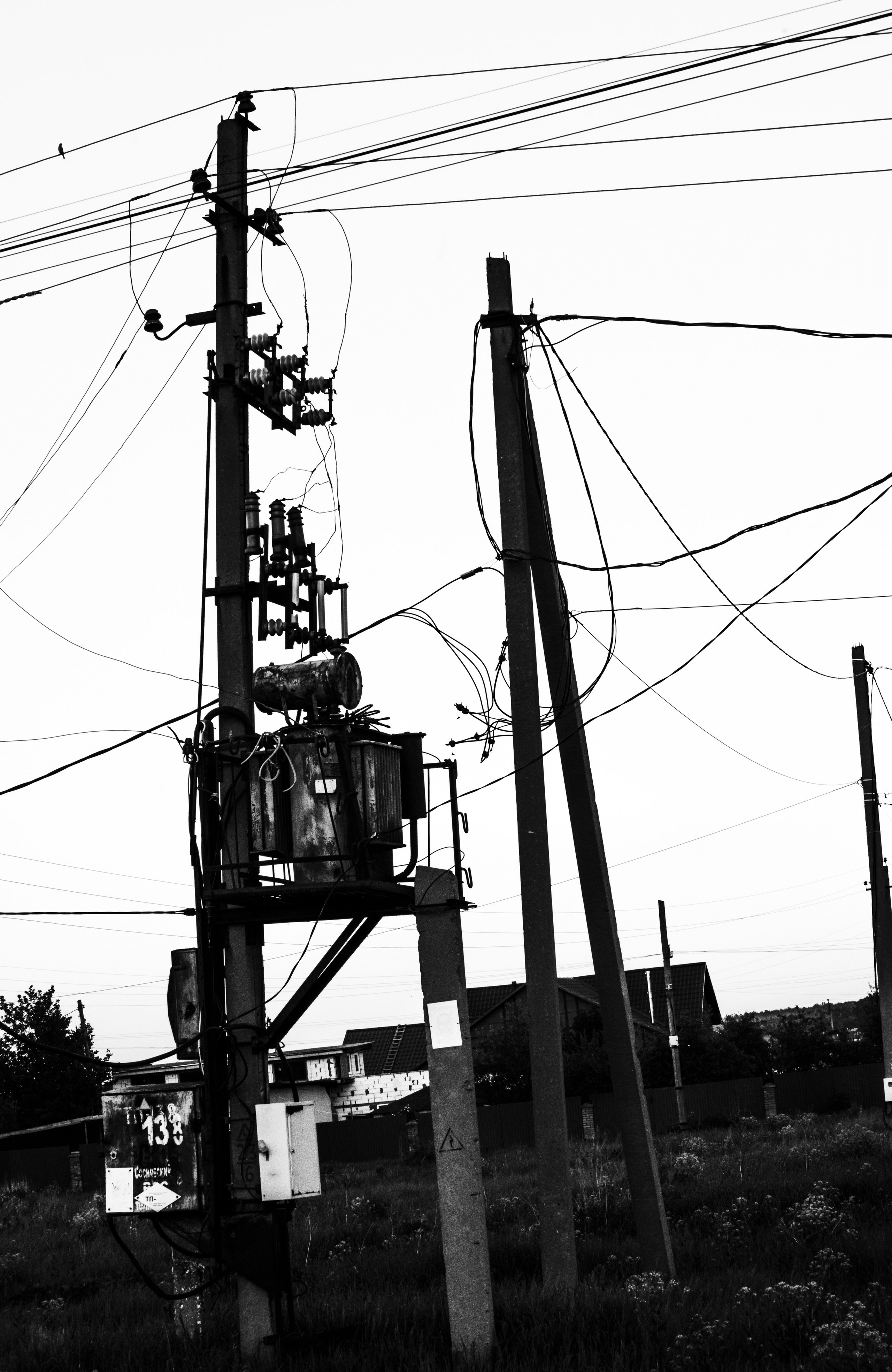 Guidelines. Whoii art