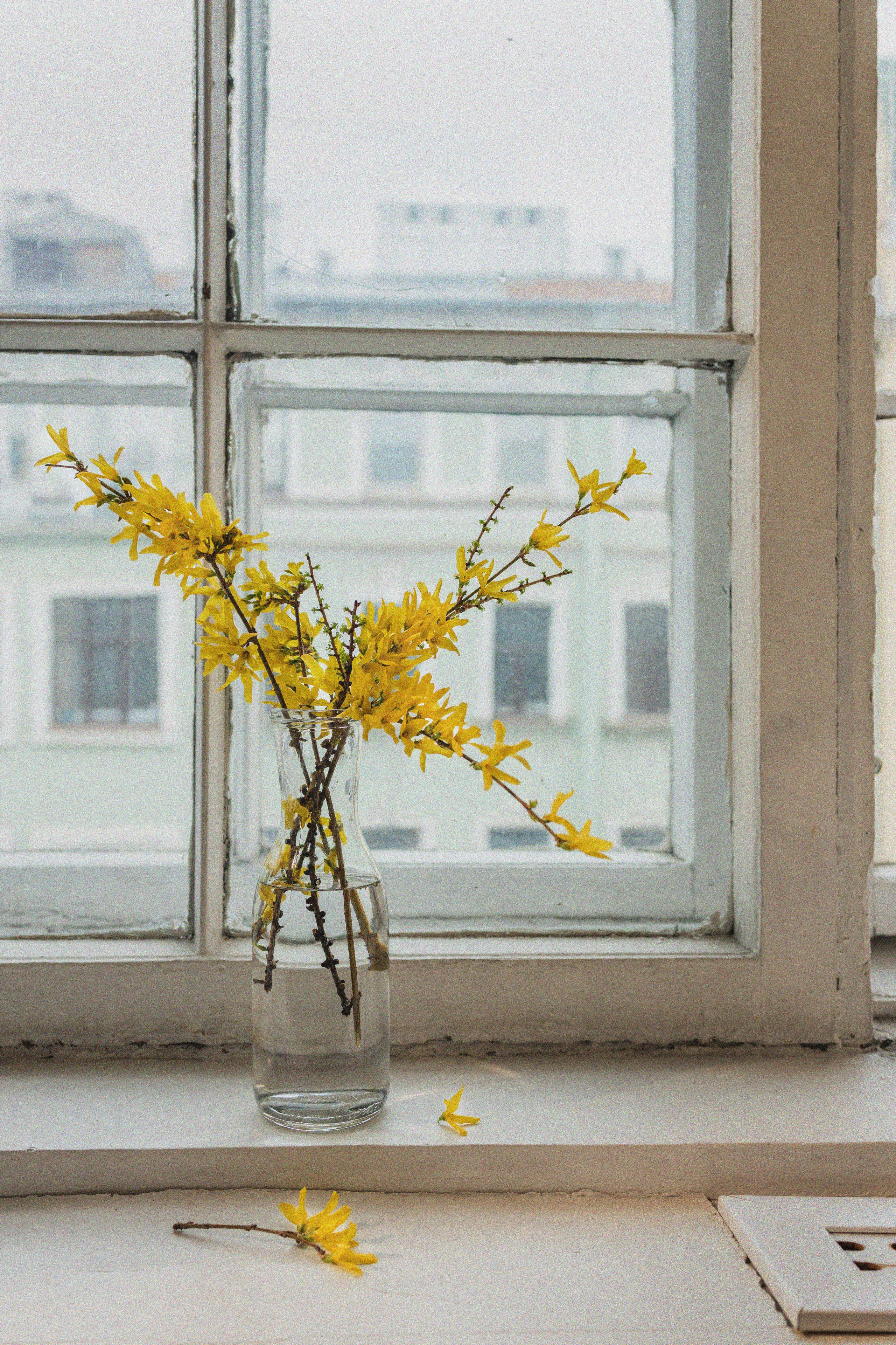 Эстетика П р о Я в л е н и я. Виноградова Маргарита. Фотограф P r o Явления