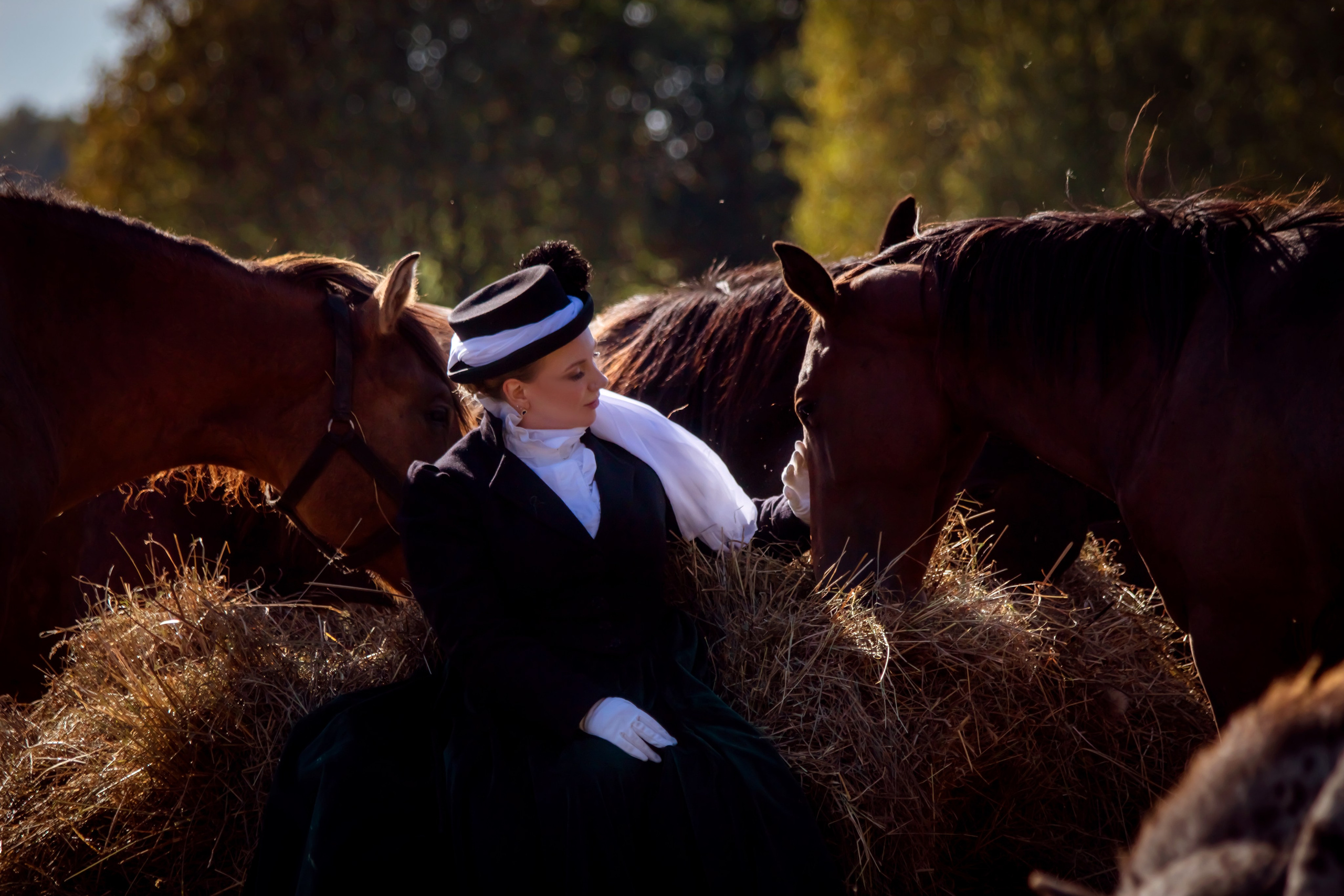 Фотосессия в Аванпост. Фотограф анималист — Тула, Москва