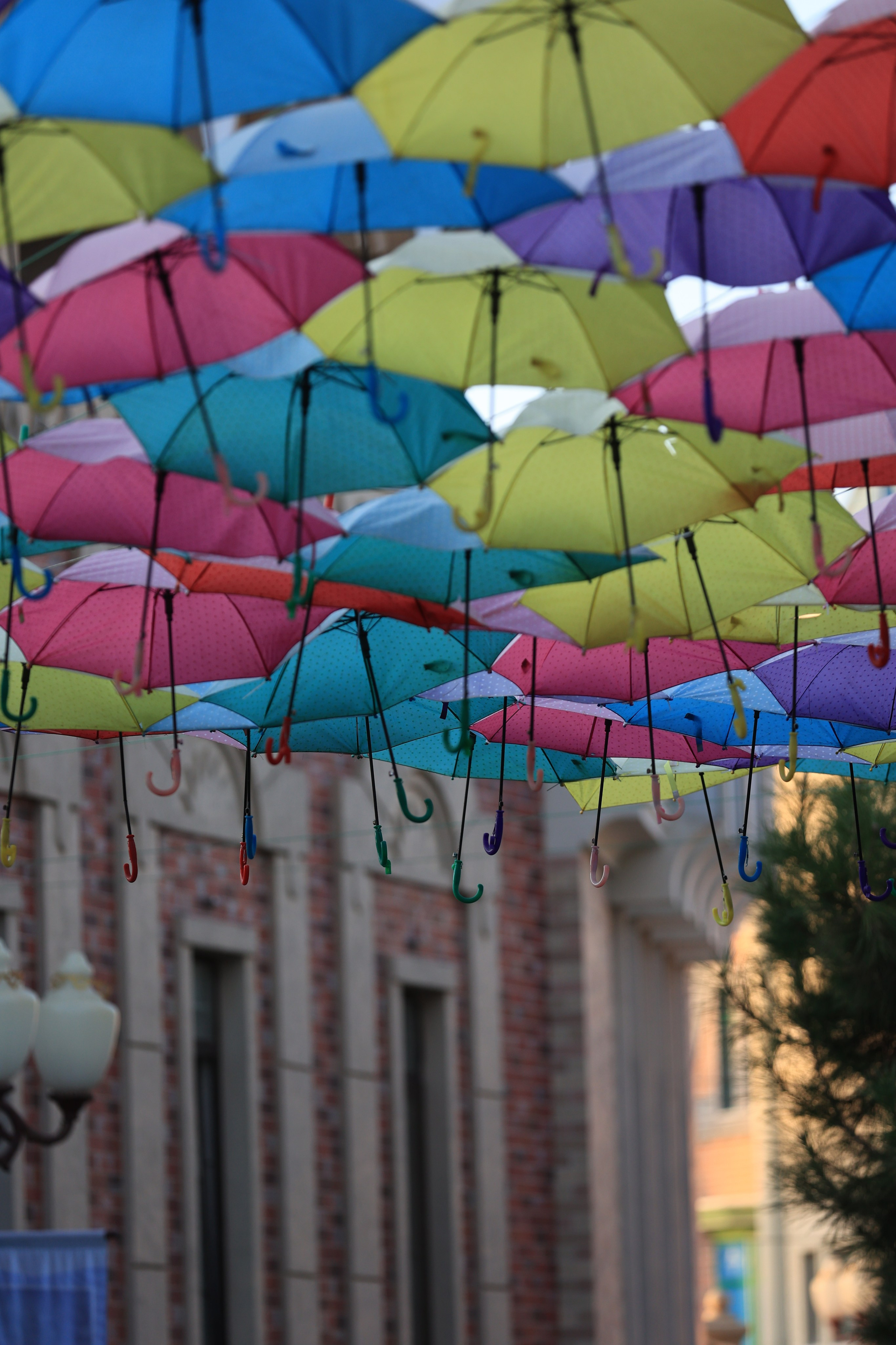 2025 год. Тащилин Сергей. Фотографии. Жизнь. Хобби