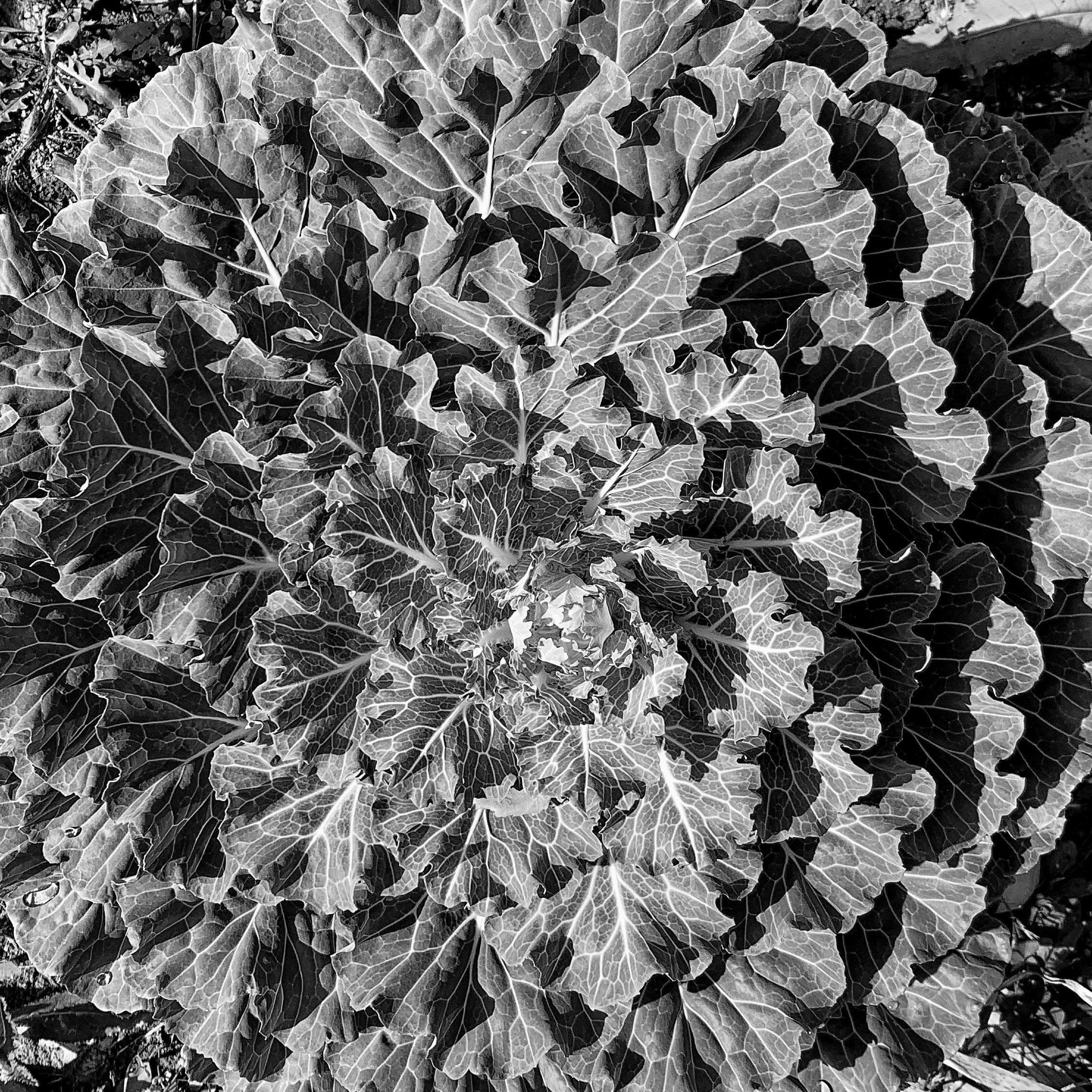 2022. Тащилин Сергей. Фотографии. Жизнь. Хобби