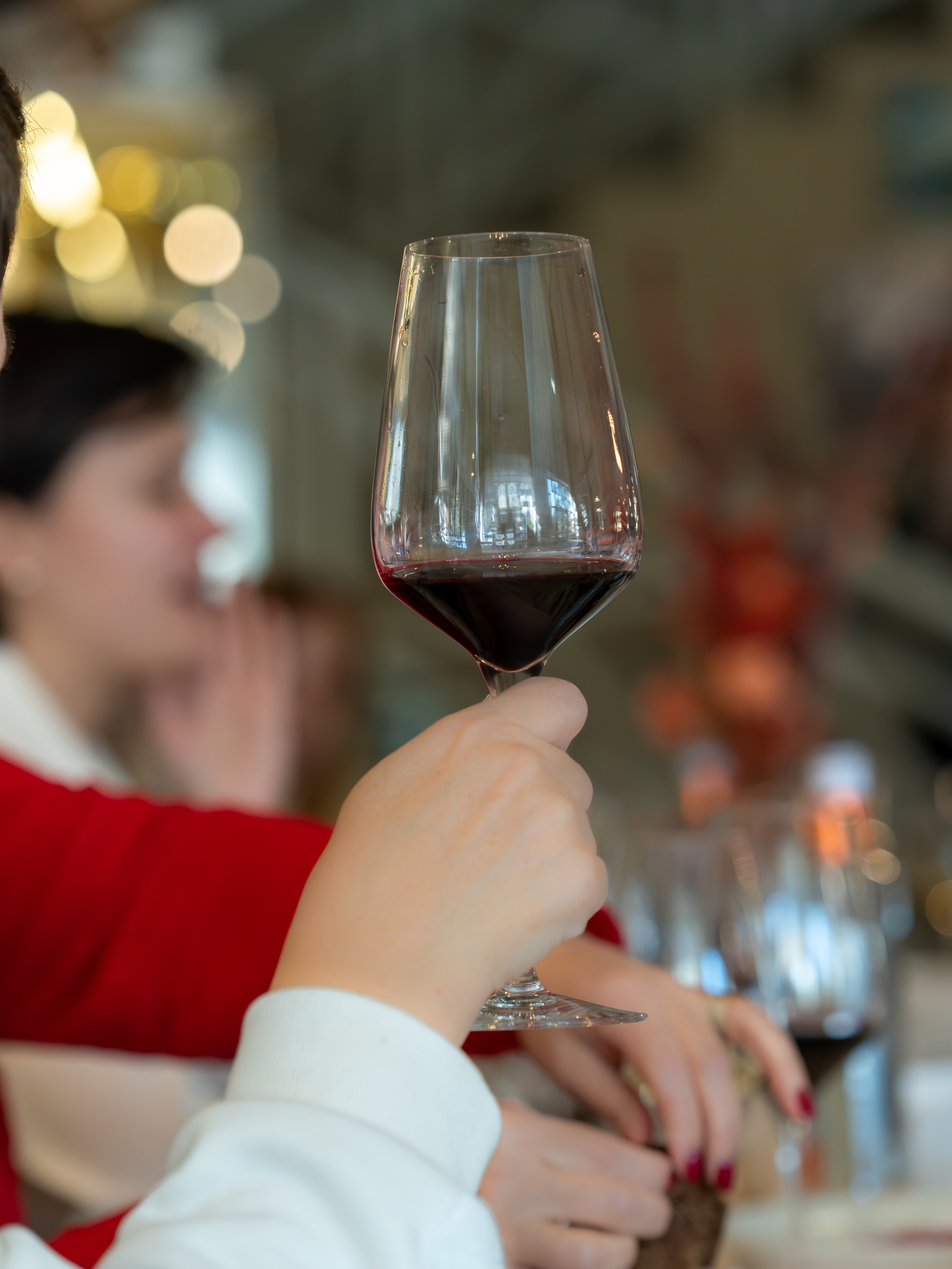 Литературная мастерская с Ольгой Шутовой в «Винотеррии». Репортажный фотограф в Красной Поляне и Сочи Павлюченко Екатерина