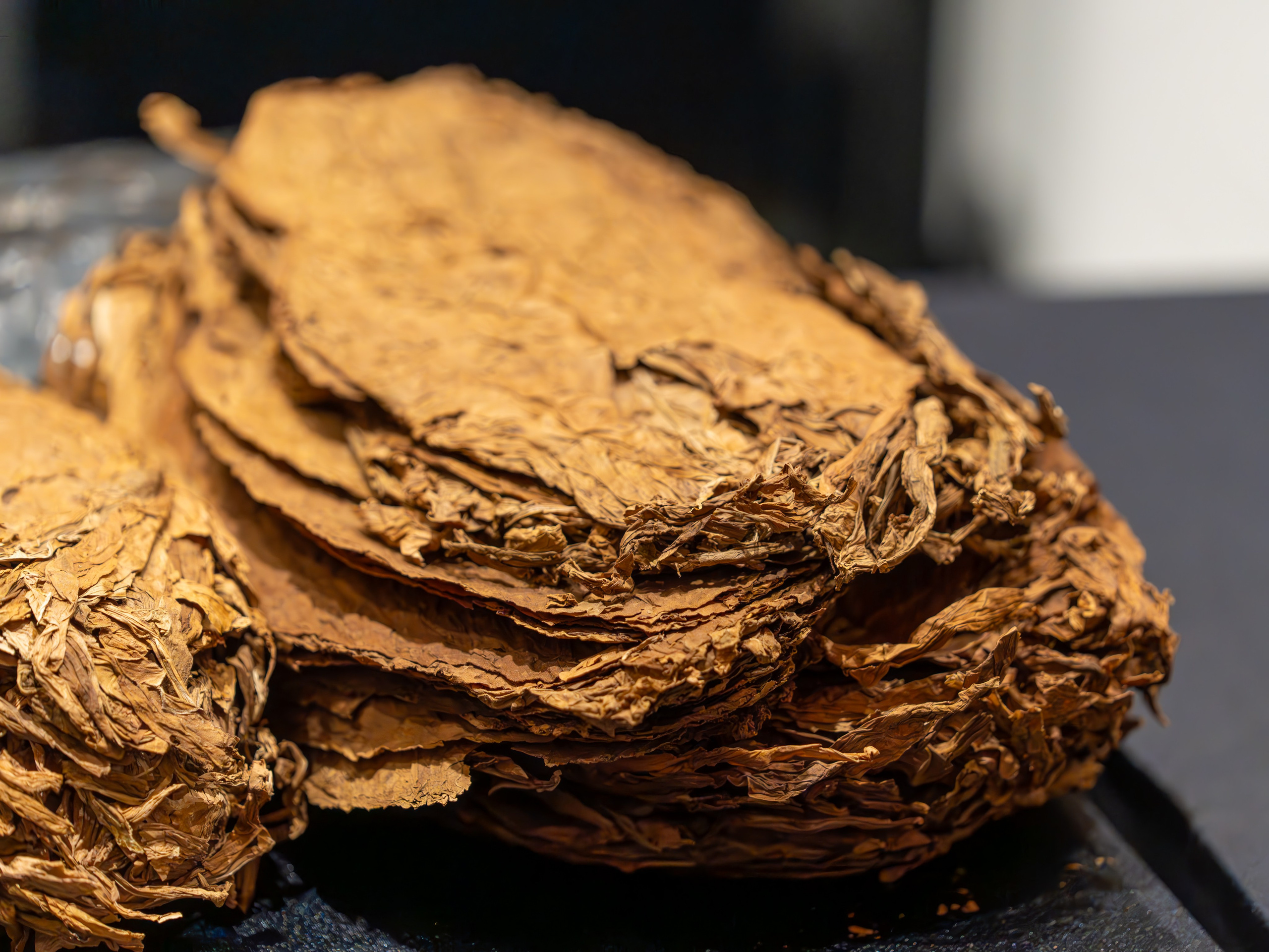 MICE мероприятие для компании «Базис». Репортажный фотограф в Красной Поляне и Сочи Павлюченко Екатерина