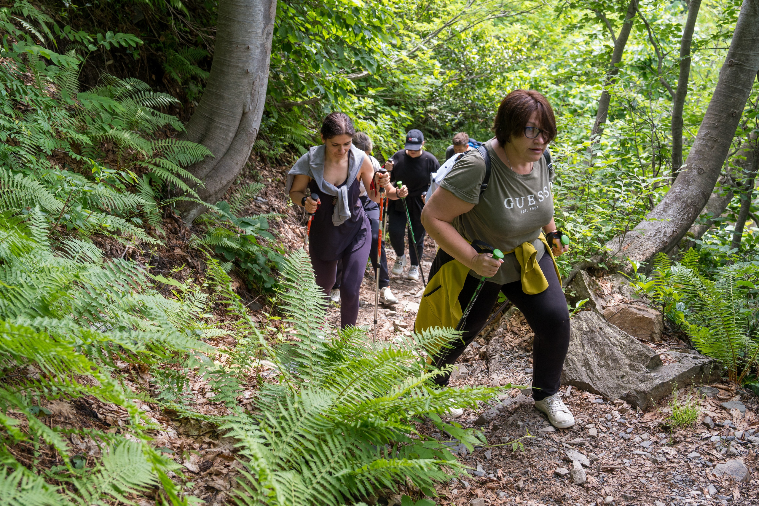 MICE мероприятие для компании «Доставка морем»: хайкинг к Ачипсинским водопадам. Репортажный фотограф в Красной Поляне и Сочи Павлюченко Екатерина