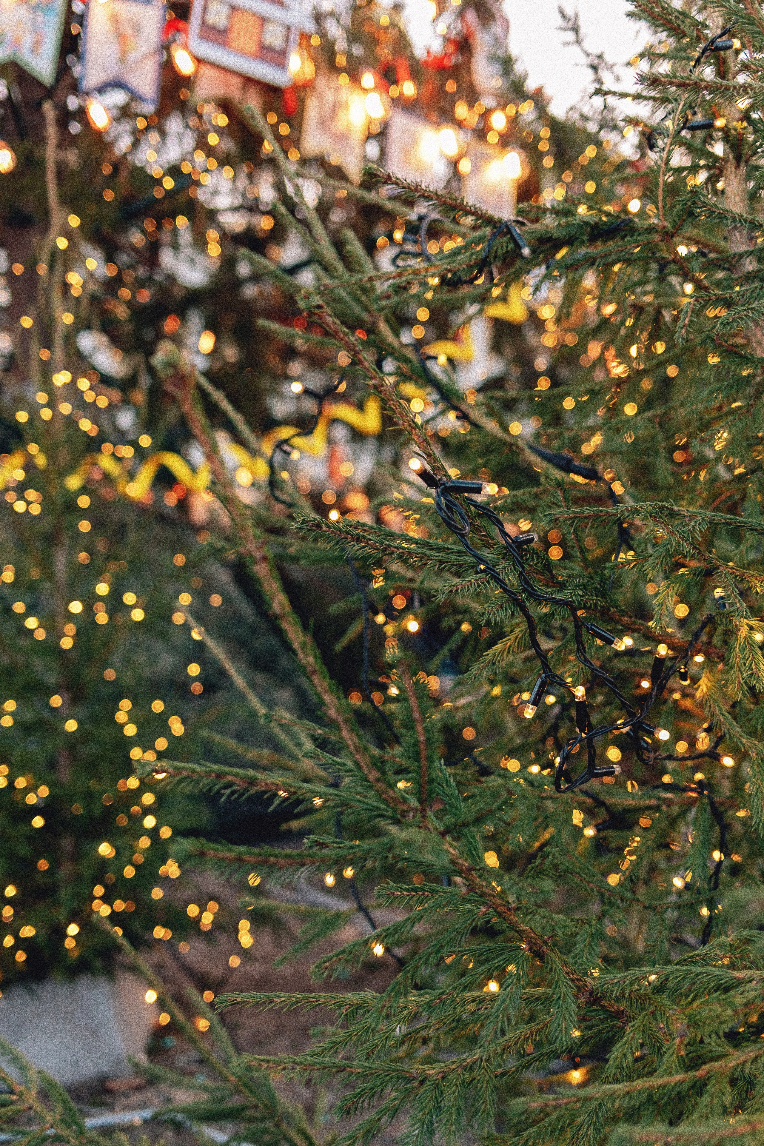 Санкт-Петербург. Аня Степанова