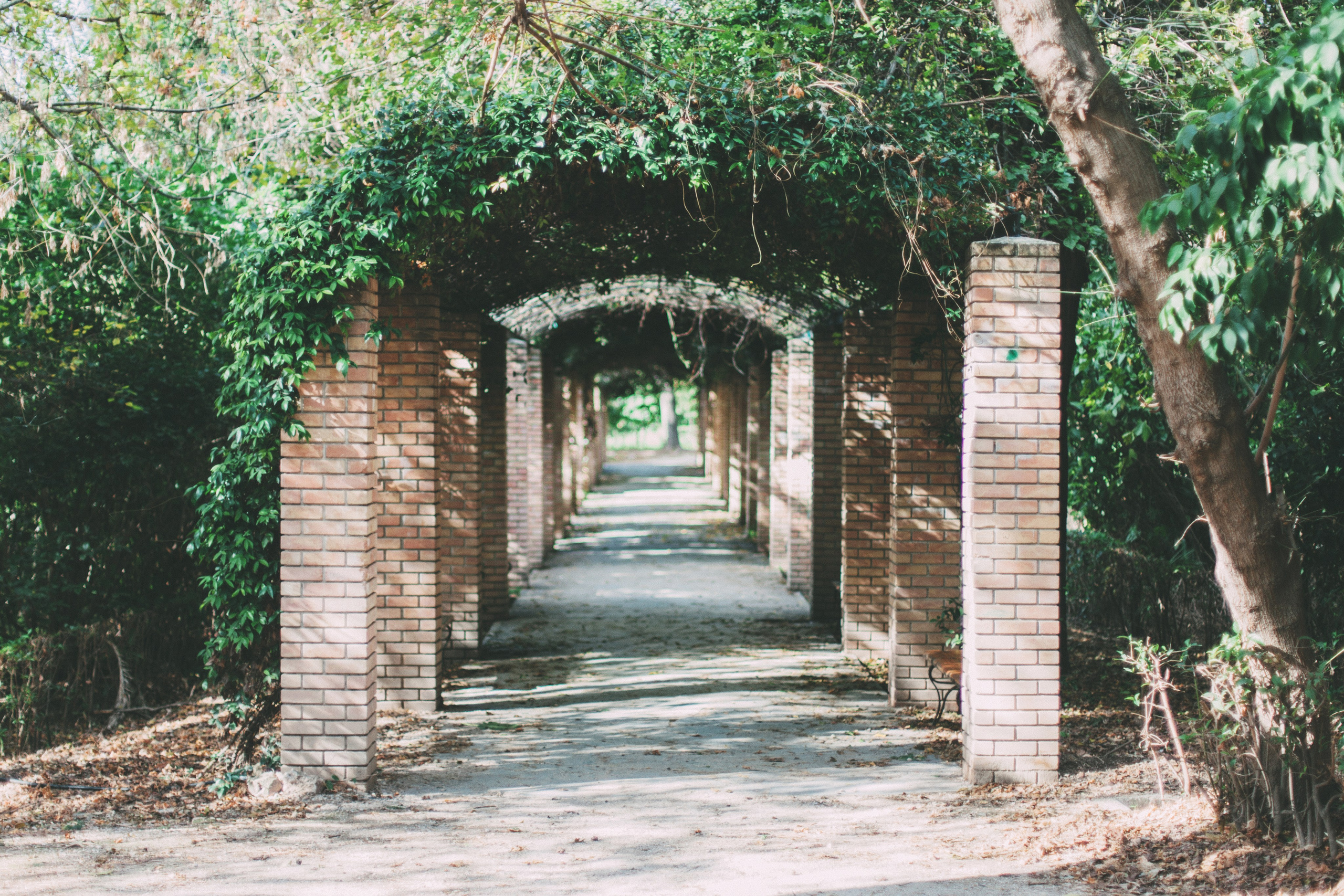 Афины. Аня Степанова