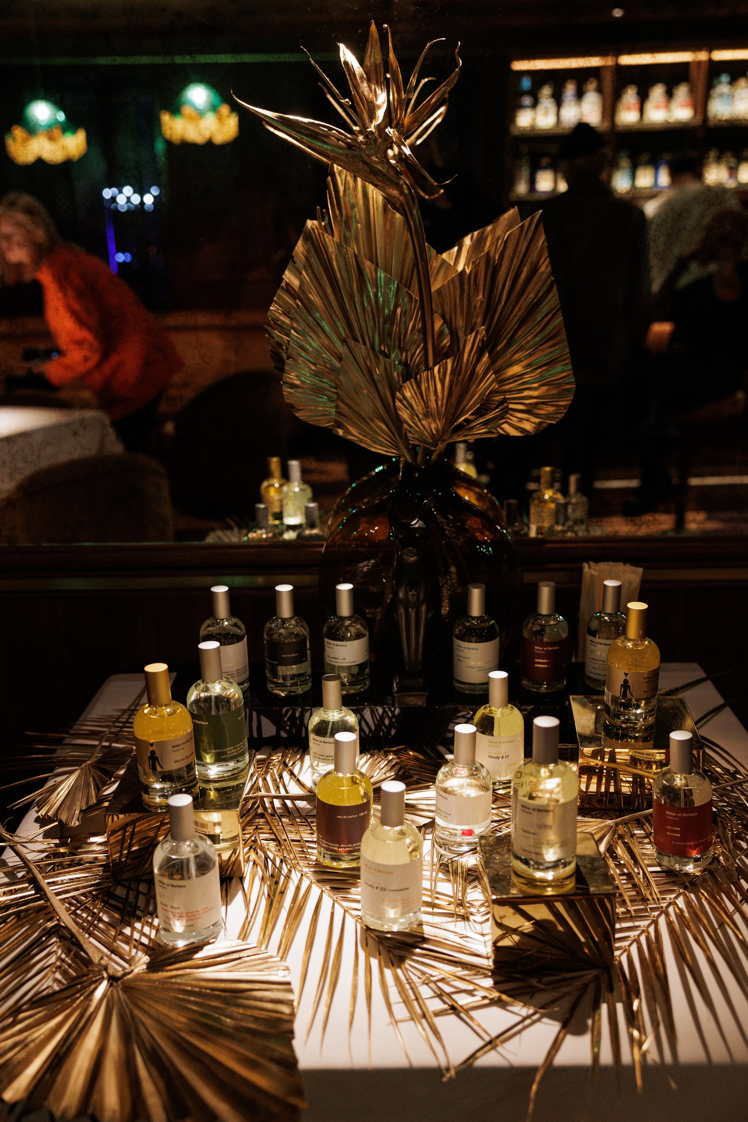 Miller et Bertaux. Светский фотограф — Анисина Ирина