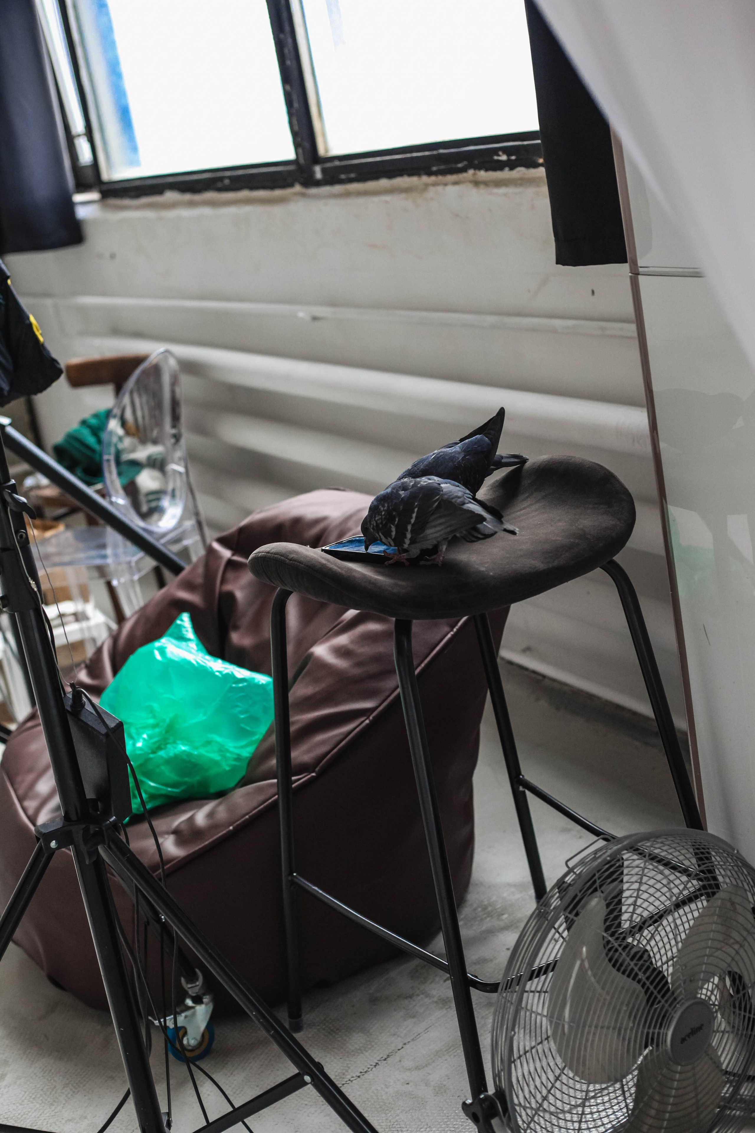 Студия. Уличный фотограф Города N