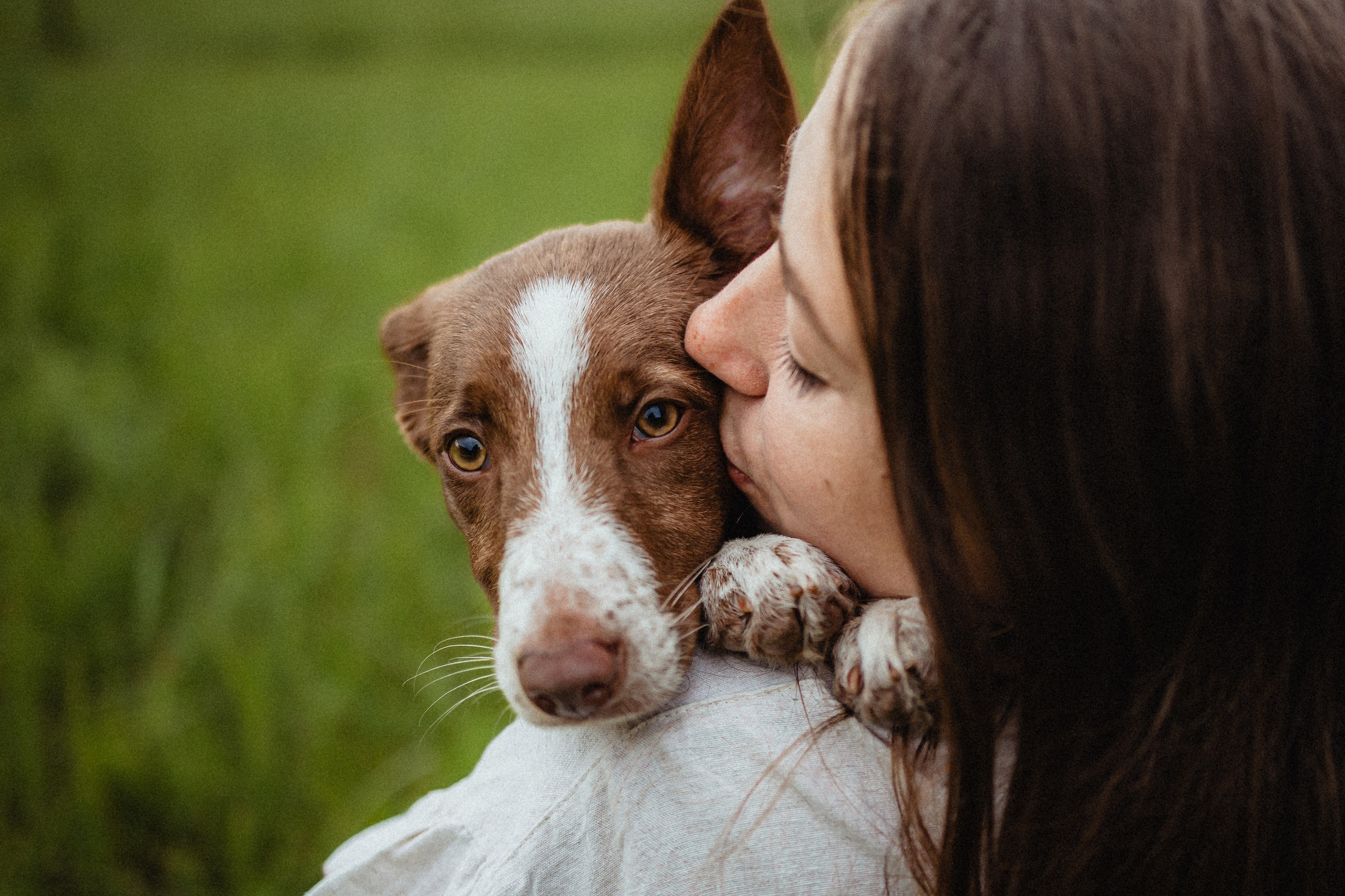 Выездной дог-тренинг от школы «Шерсть имею»