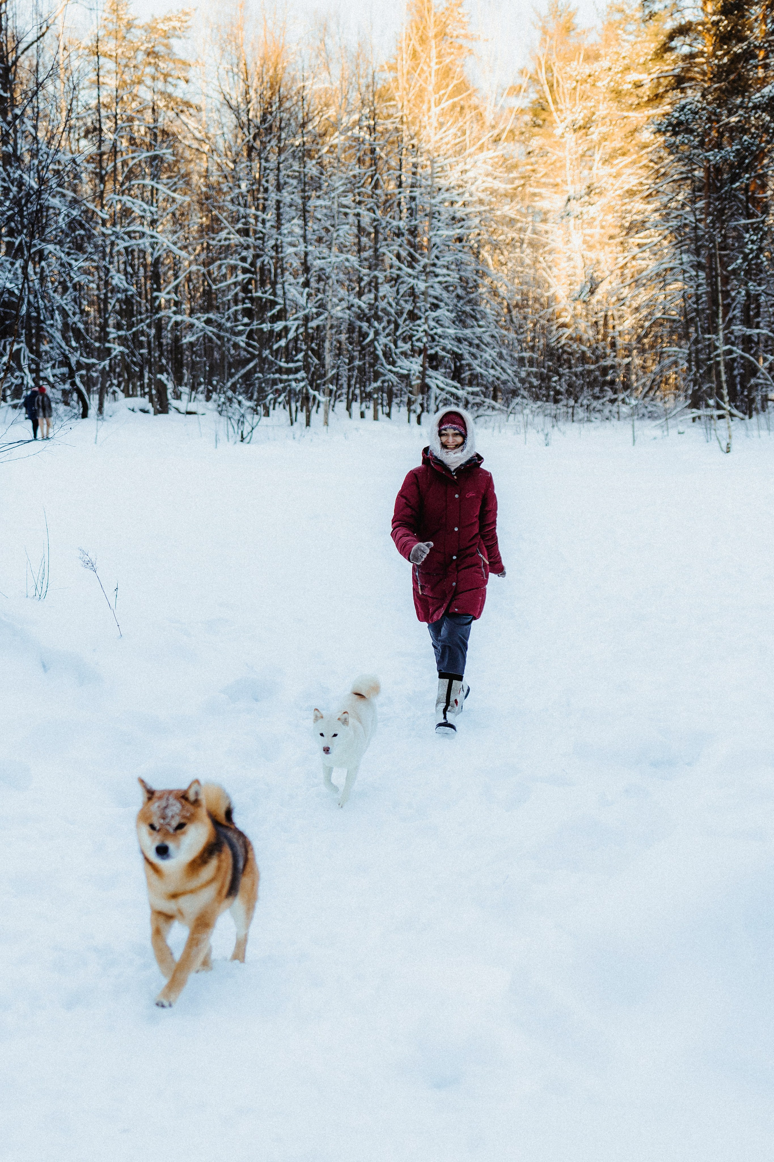 Шед, Цири и Ира