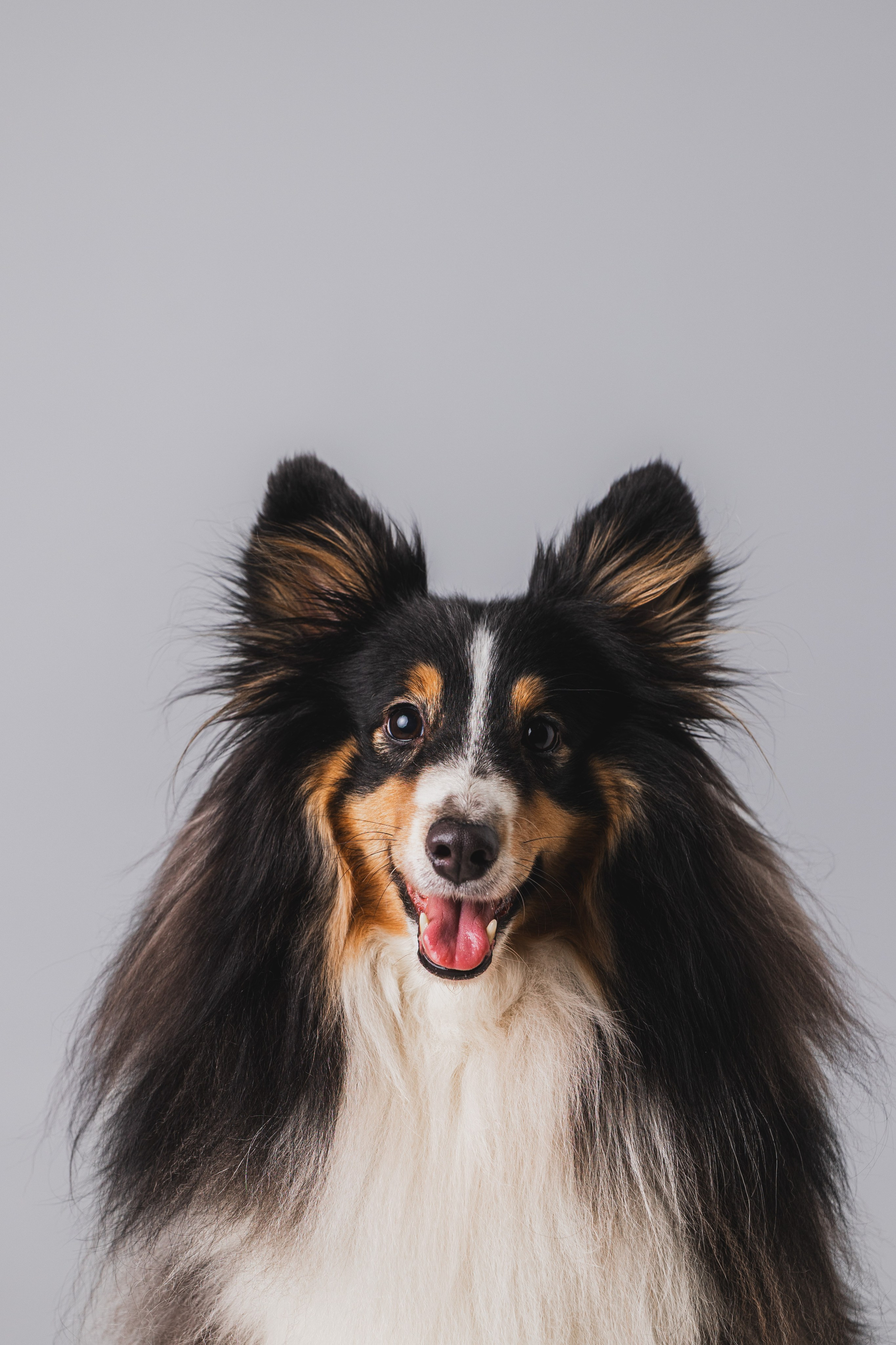 Воркшоп по импульсному свету