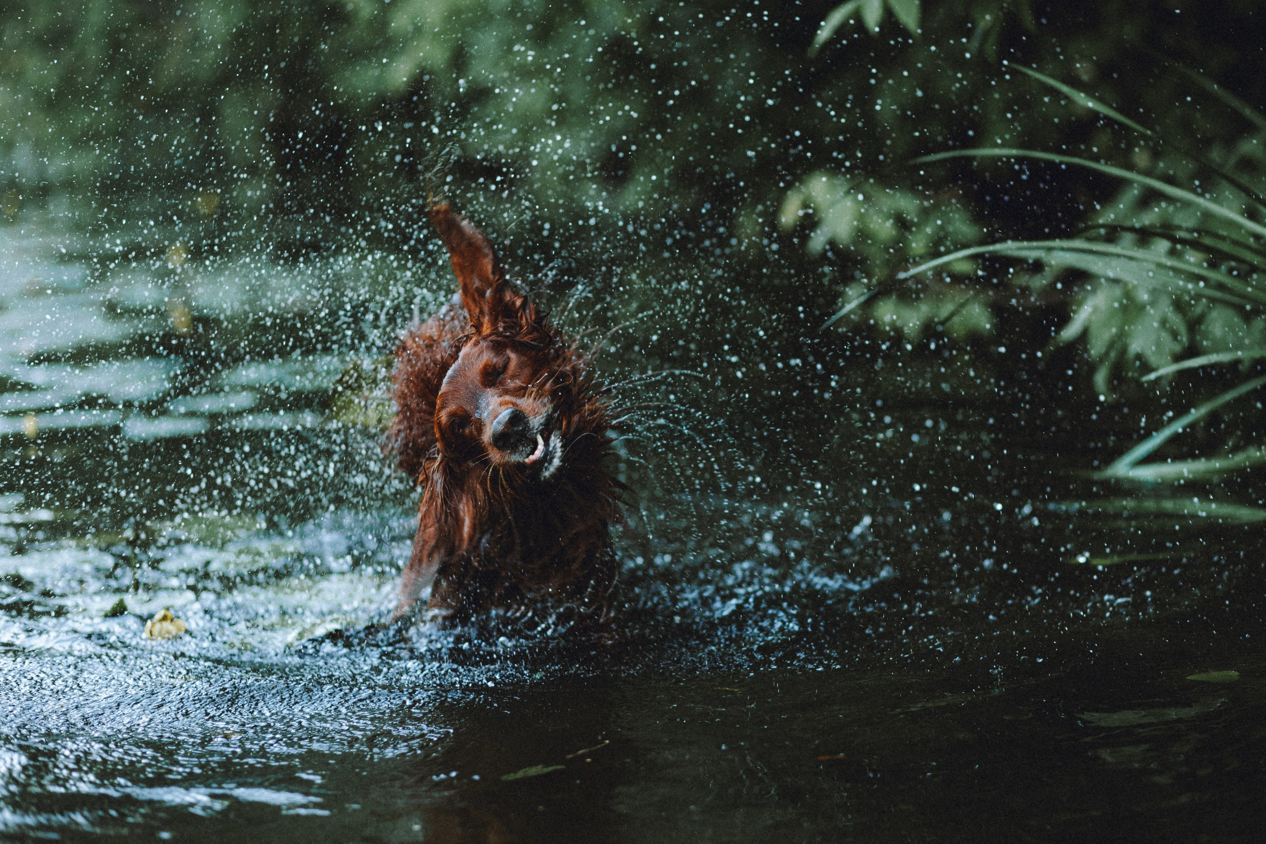 Маша и Джерри