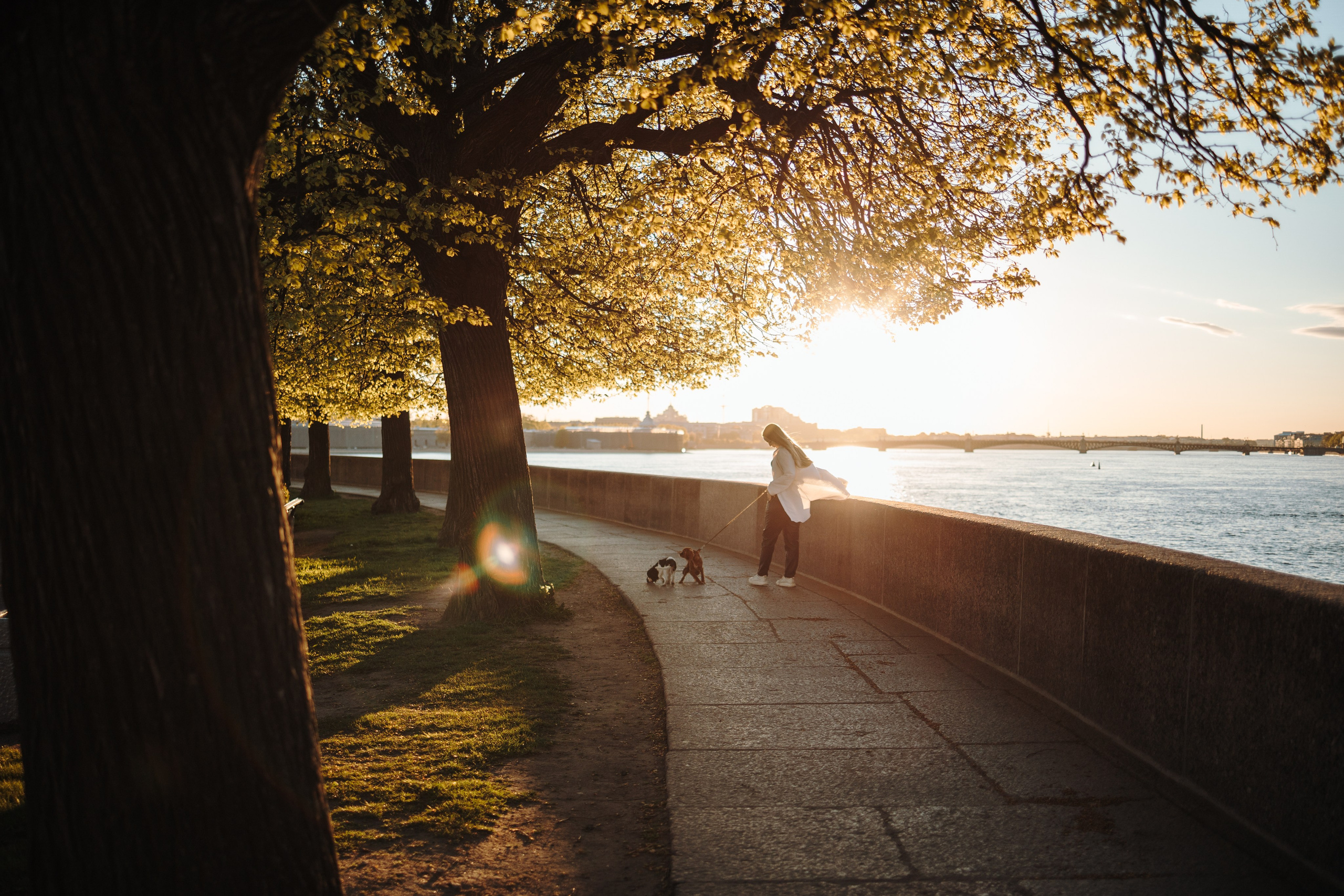 Аня, Стеша и Степан. Фотограф — Анималист | Санкт-Петербург