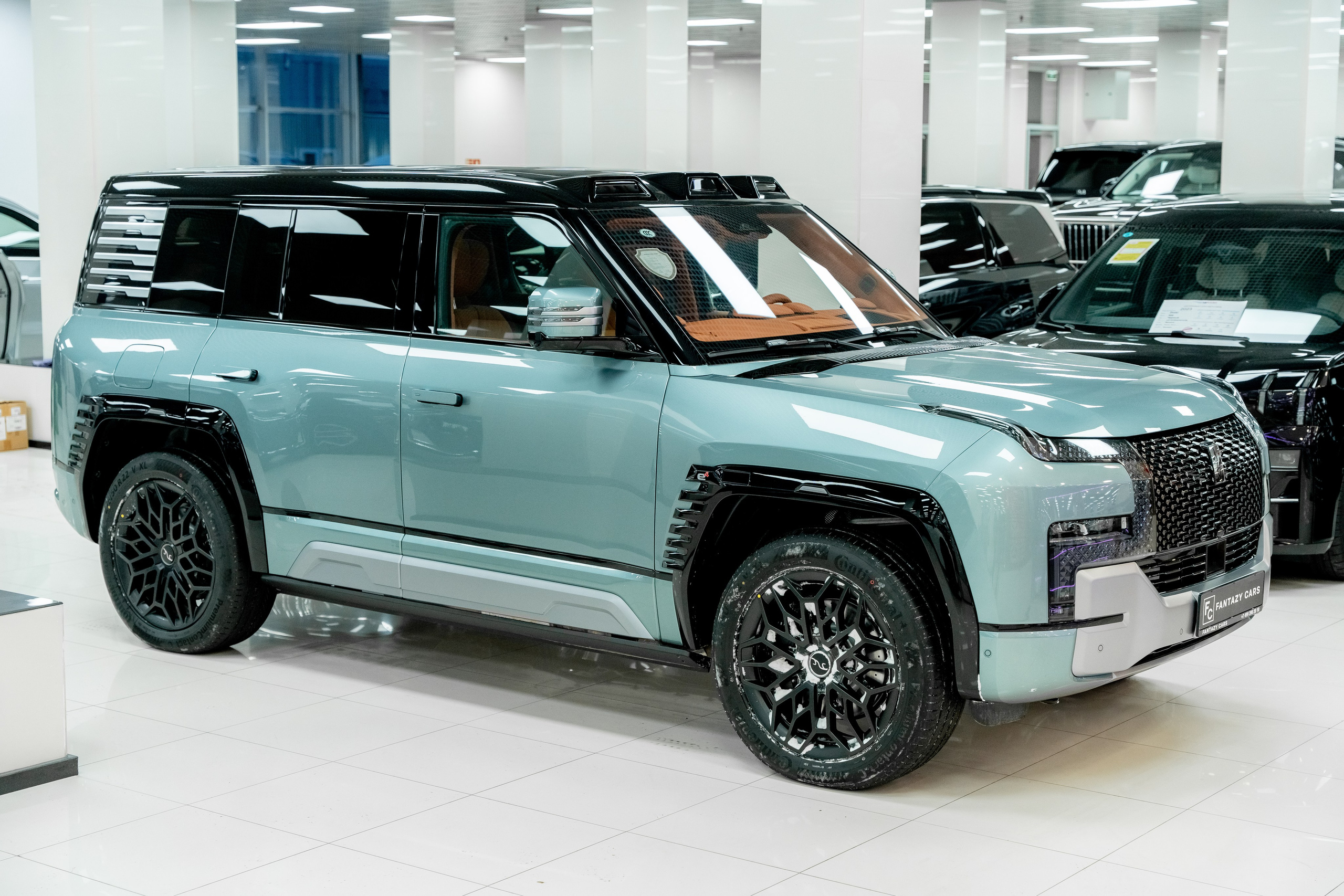 BYD U8. Станислав Тюрин Фотограф Москва. Индивидуальные и семейные фотосессии;