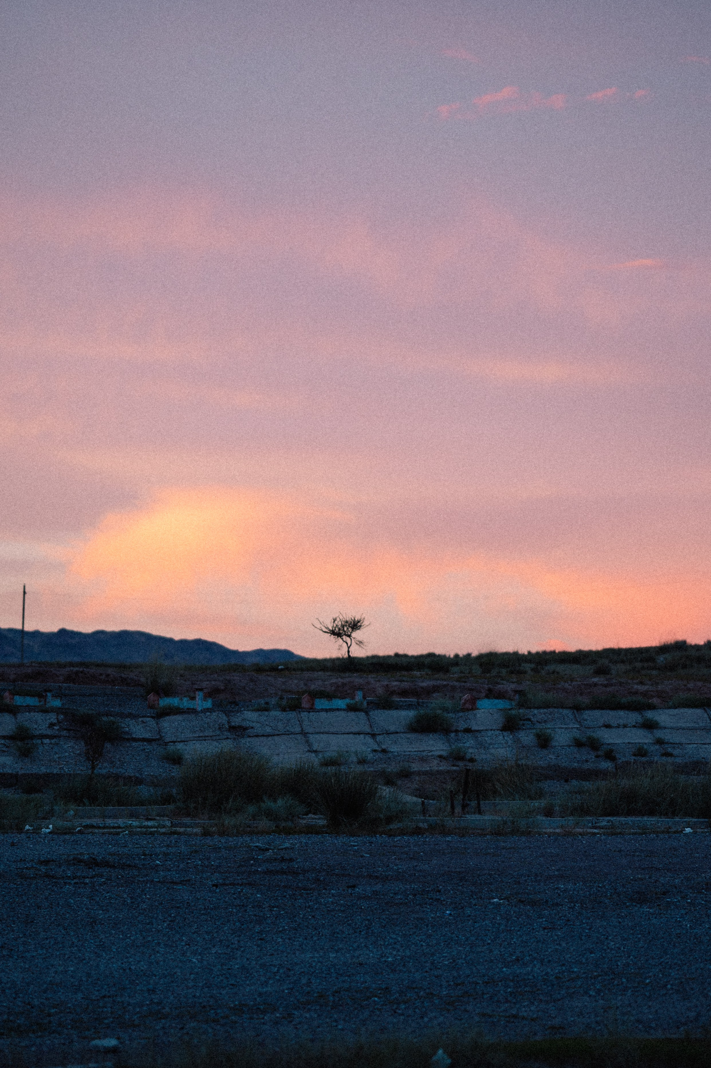 Чарын-Кольсай: лето 2024. Фотограф в Алматы — Дарья Фёдорова