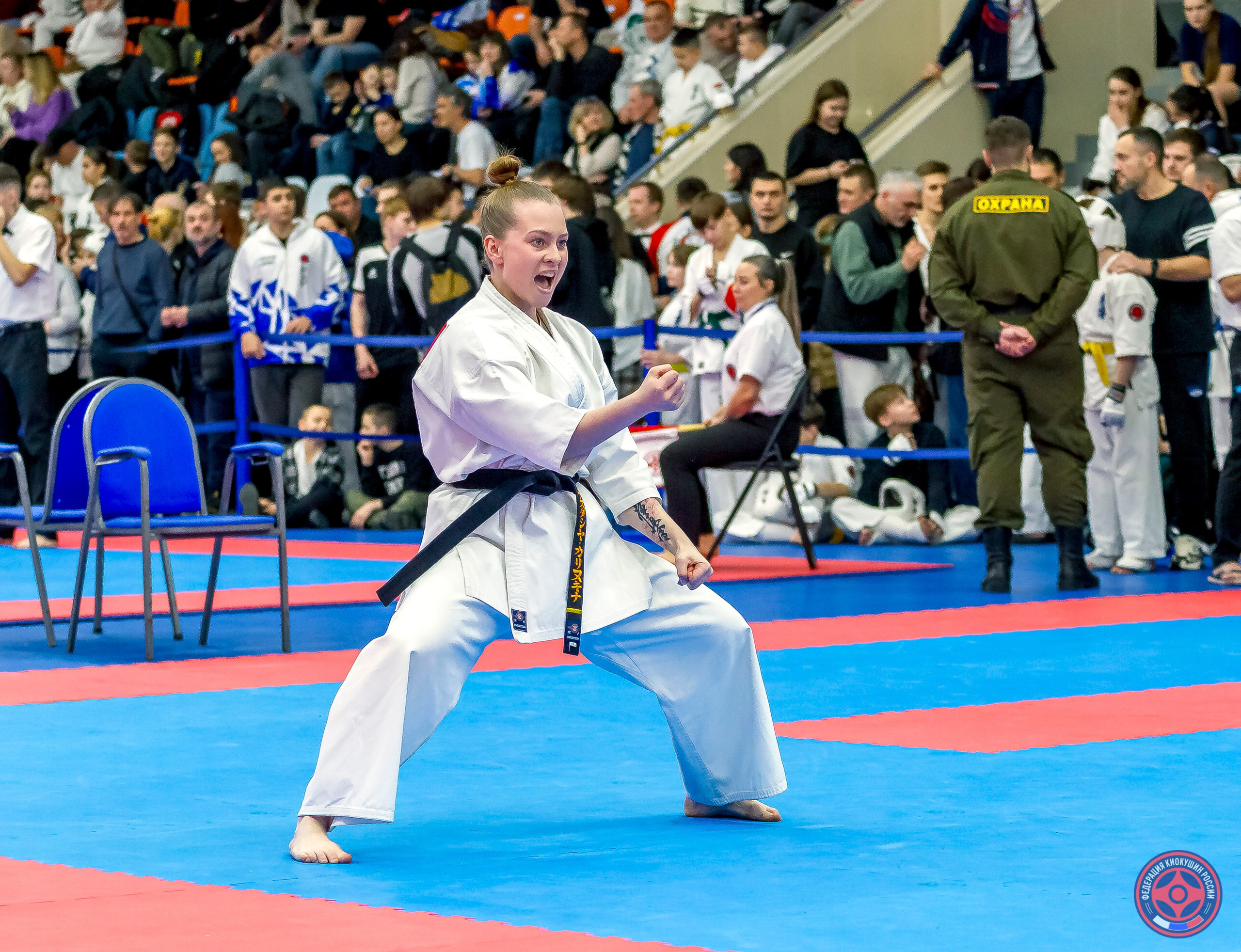 Международный турнир по киокушин «Открытый кубок Seiken». Репортажная съемка в Москве и области. Анималистика