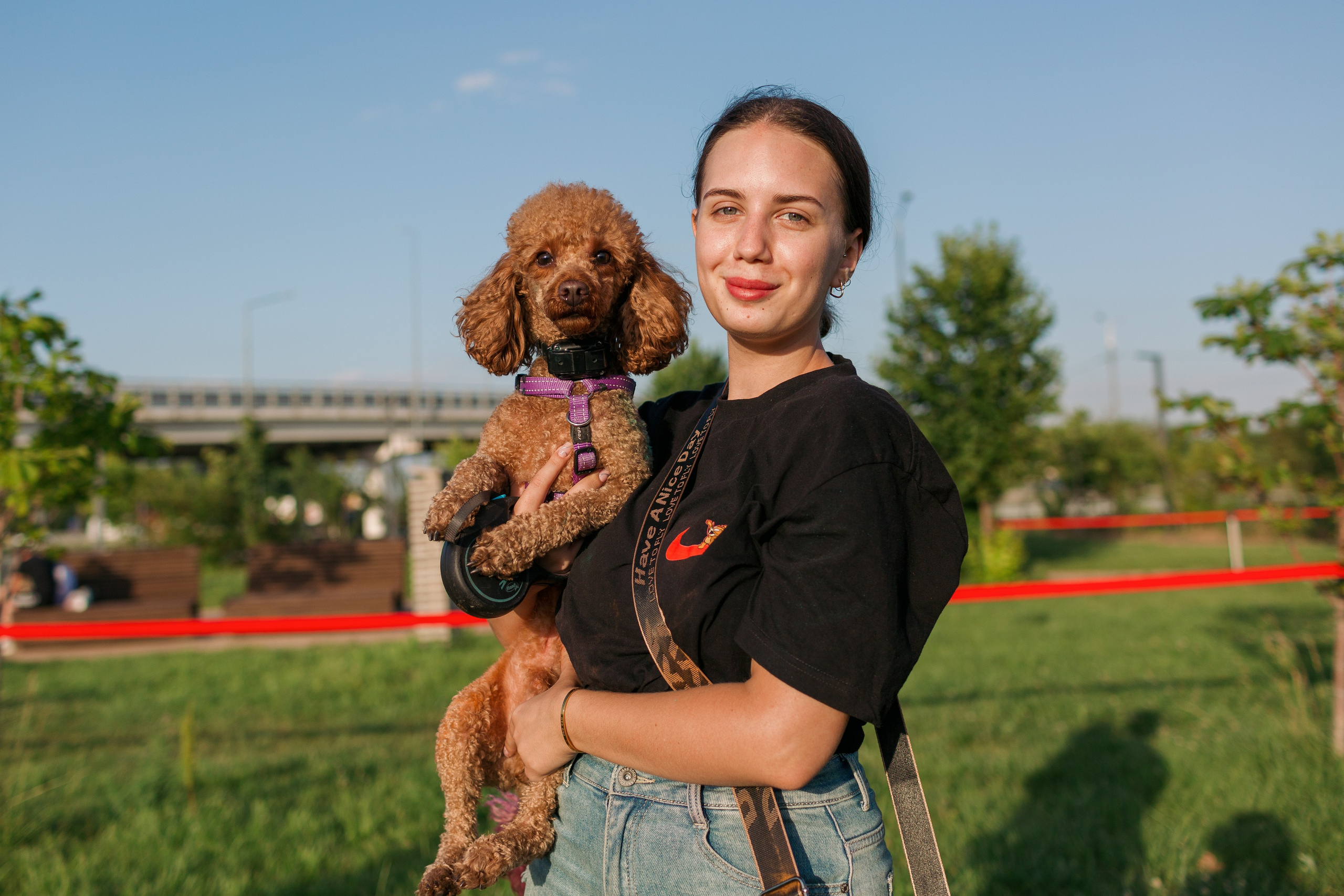 Dog Fest 2024. Главная