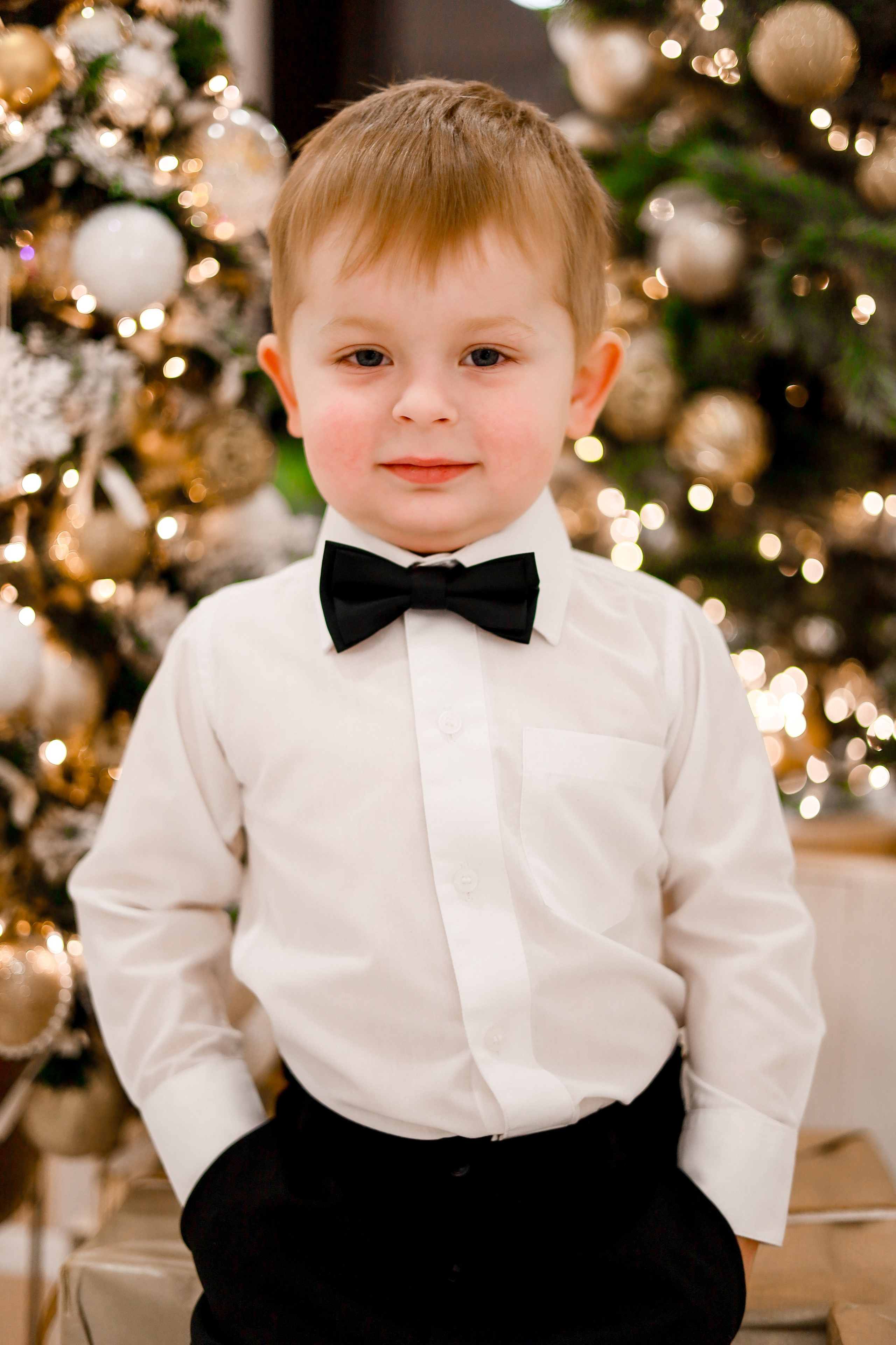 Семейная новогодняя. Портретная и семейная фотосессия в Питере Светлана Гошарова