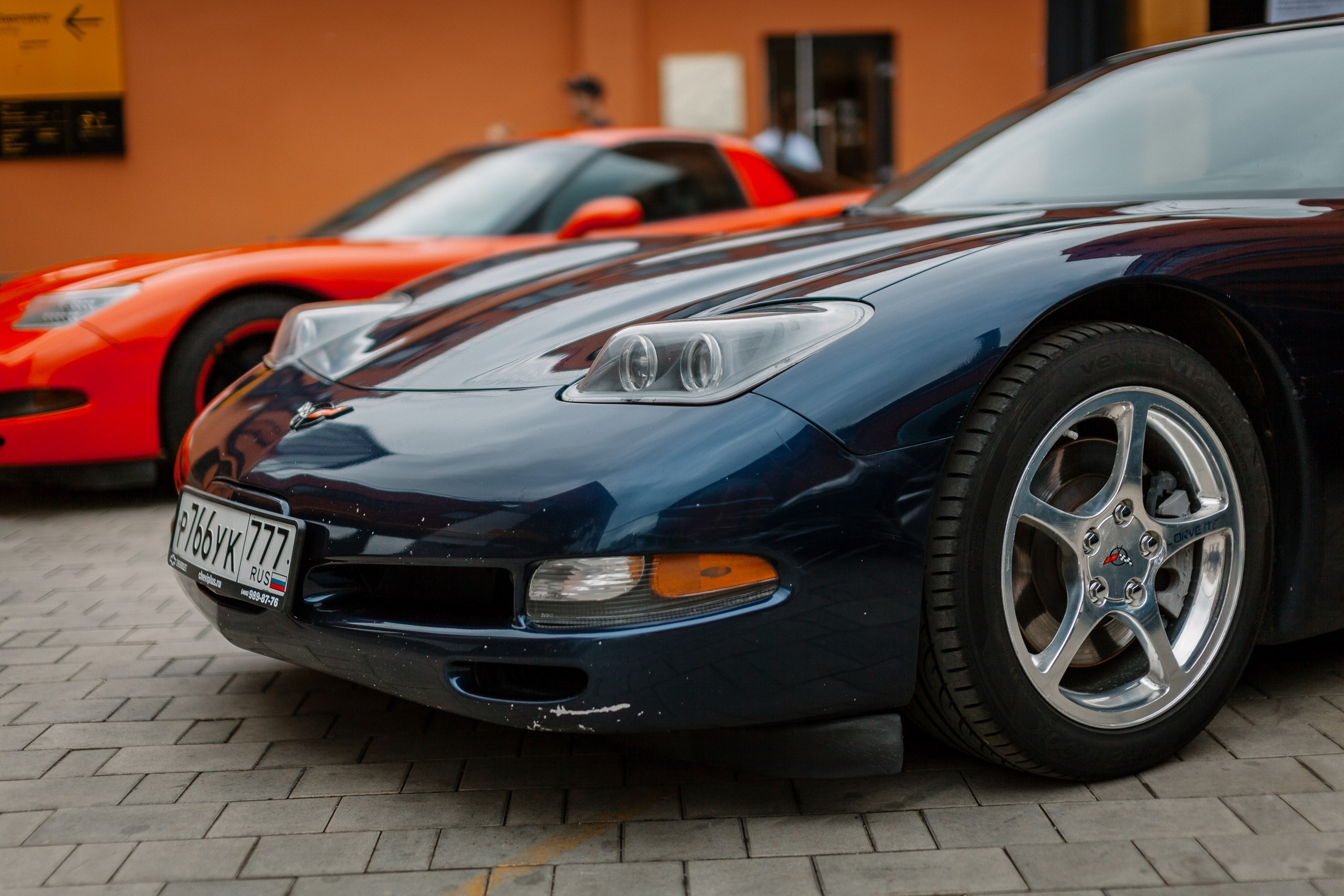 Листва. Алексей Никифоров фотограф Москва, Химки