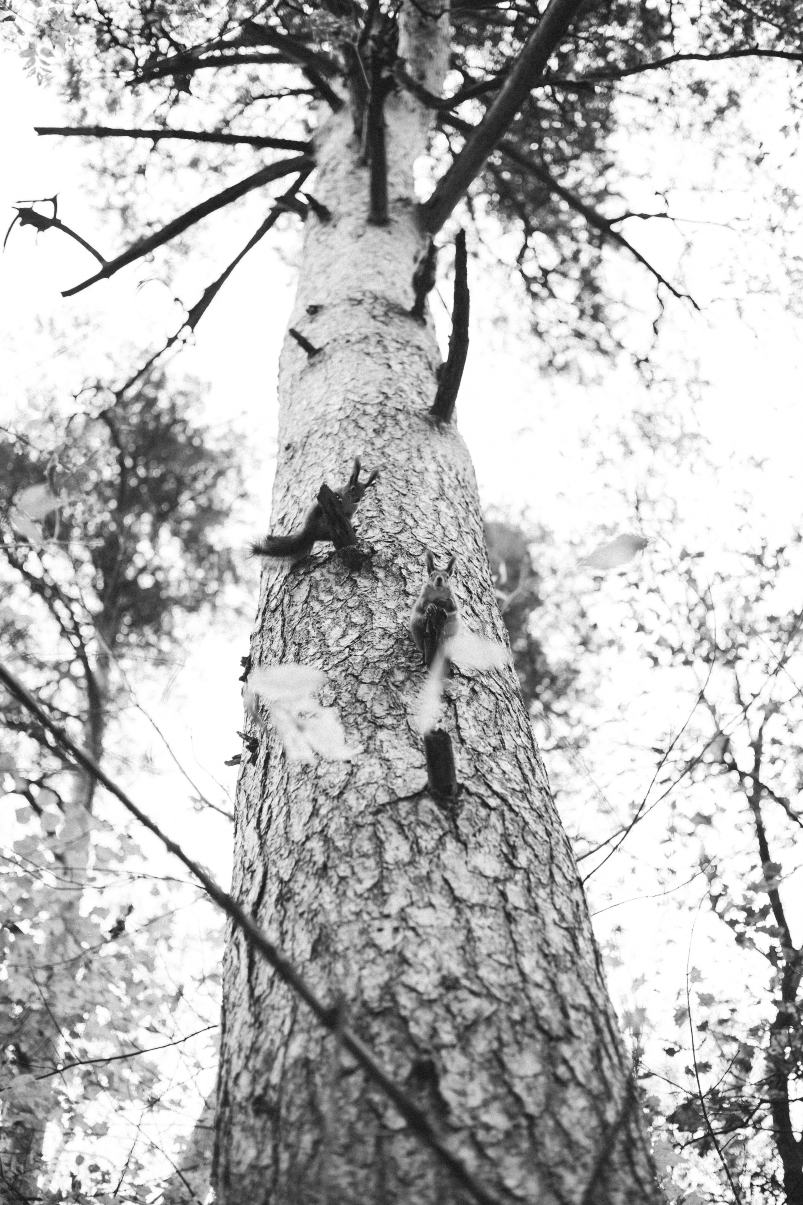 Аня и Ириска. Фотограф Анна Луценко Москва