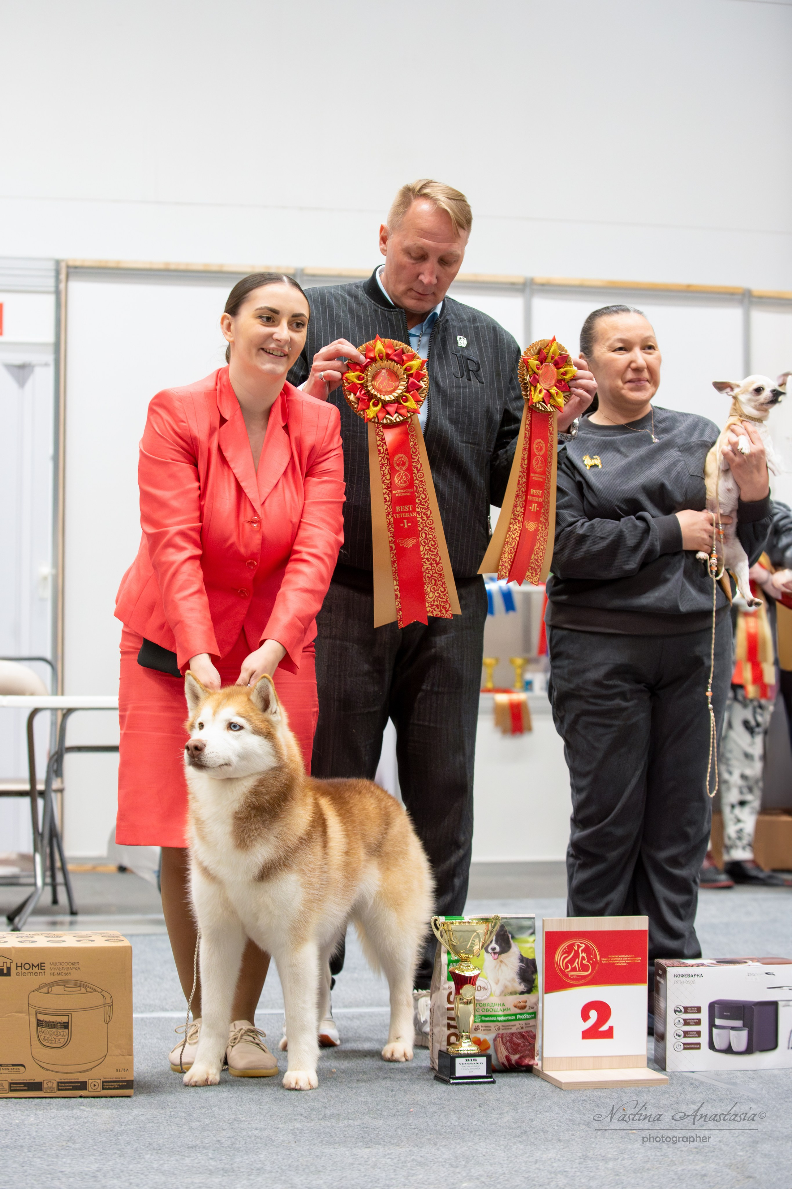 Выставки. Фотограф — Анималист