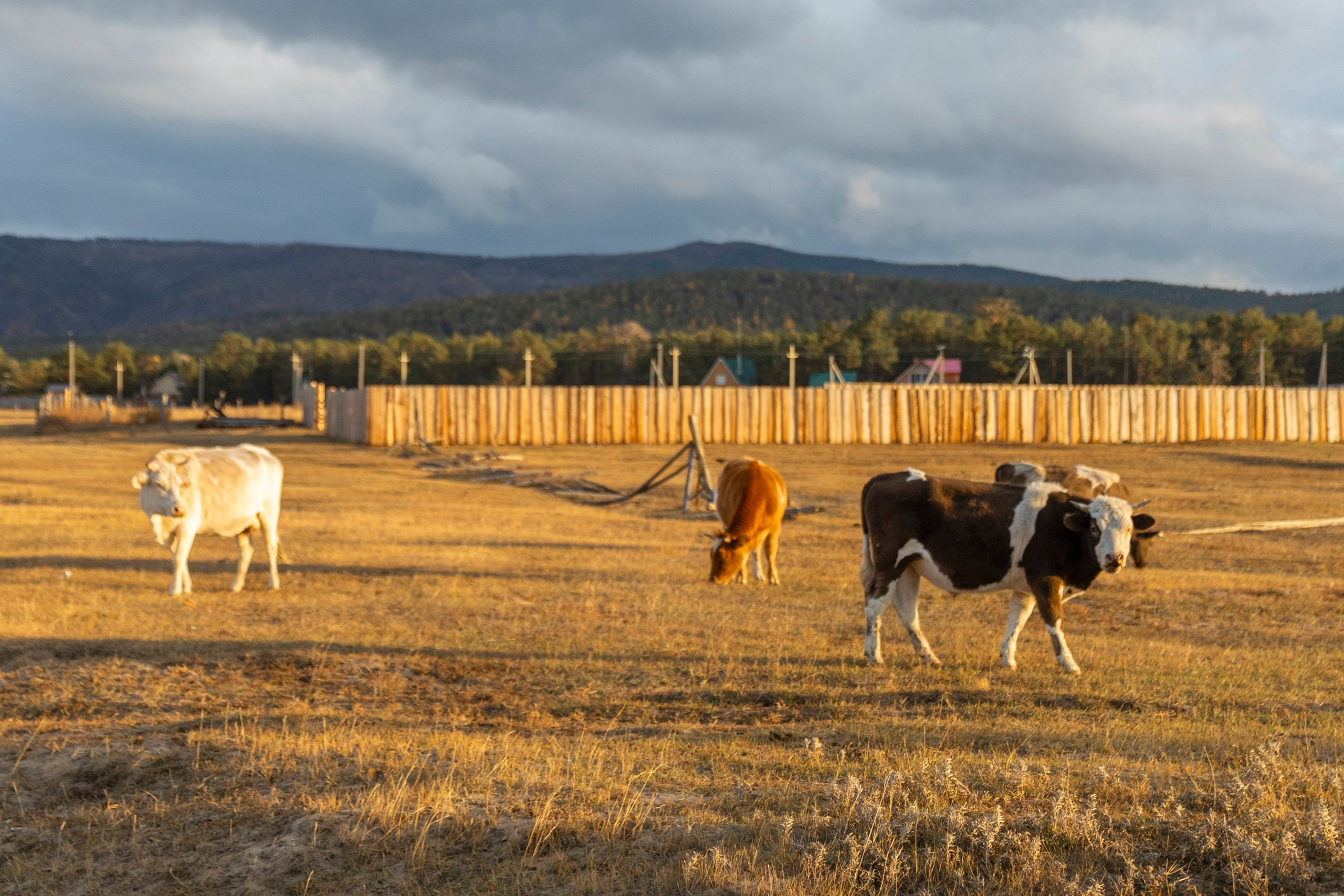 Ольхон в октябре. Марина Захарова — Фотограф. Москва / Marina Zakharova — Photographer