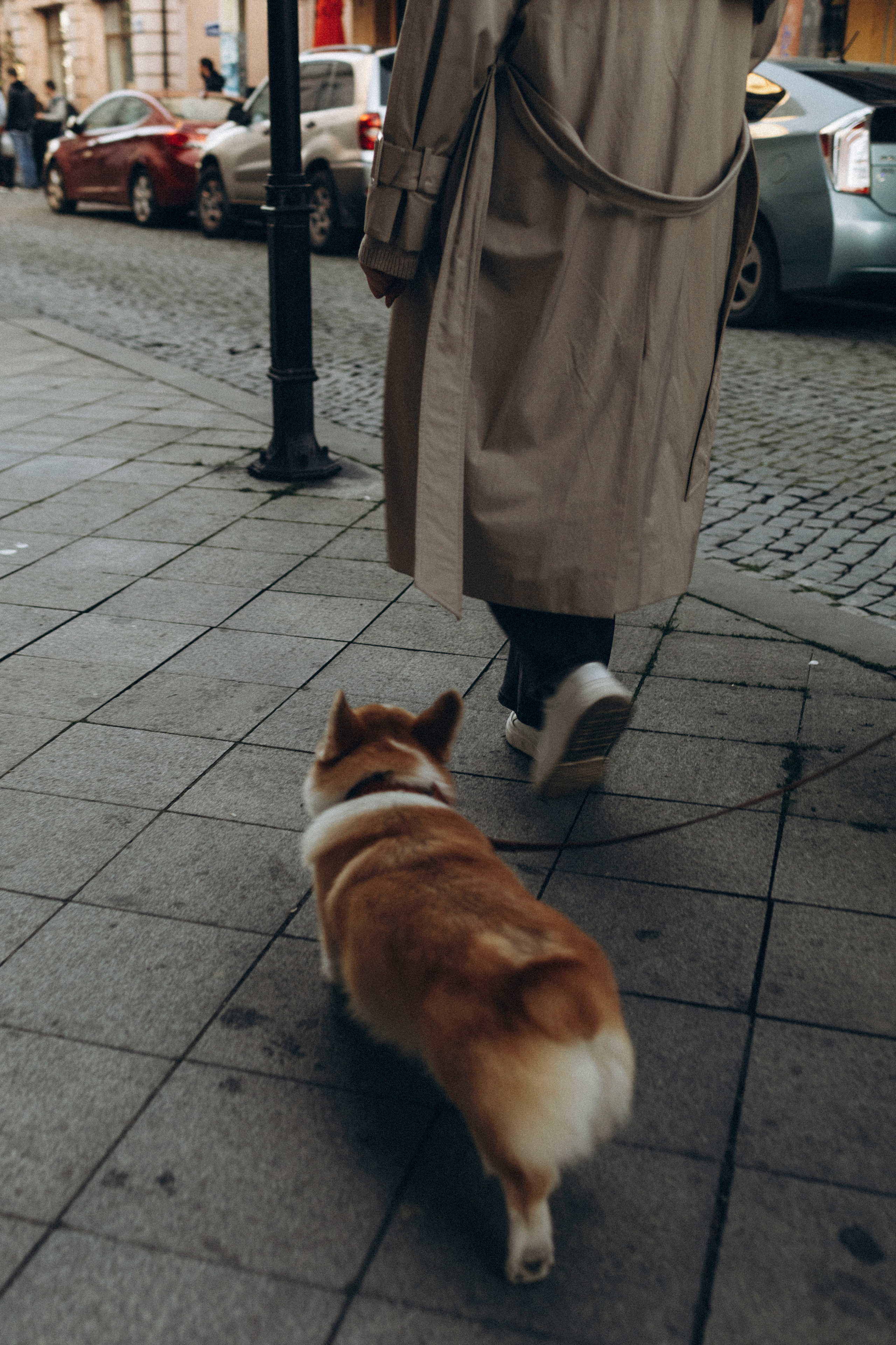 🤍. Снимаю любовь