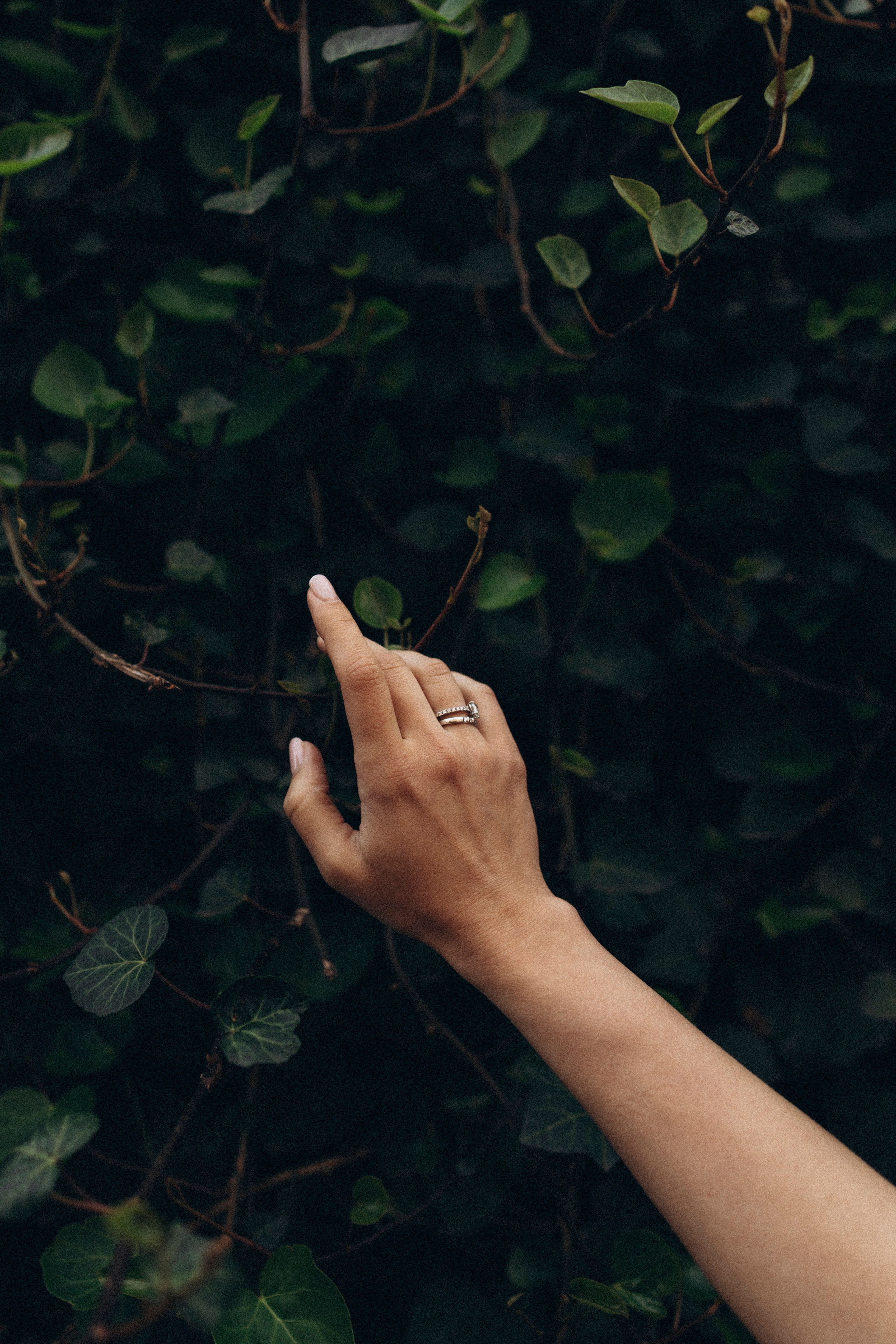 🤍. Снимаю любовь