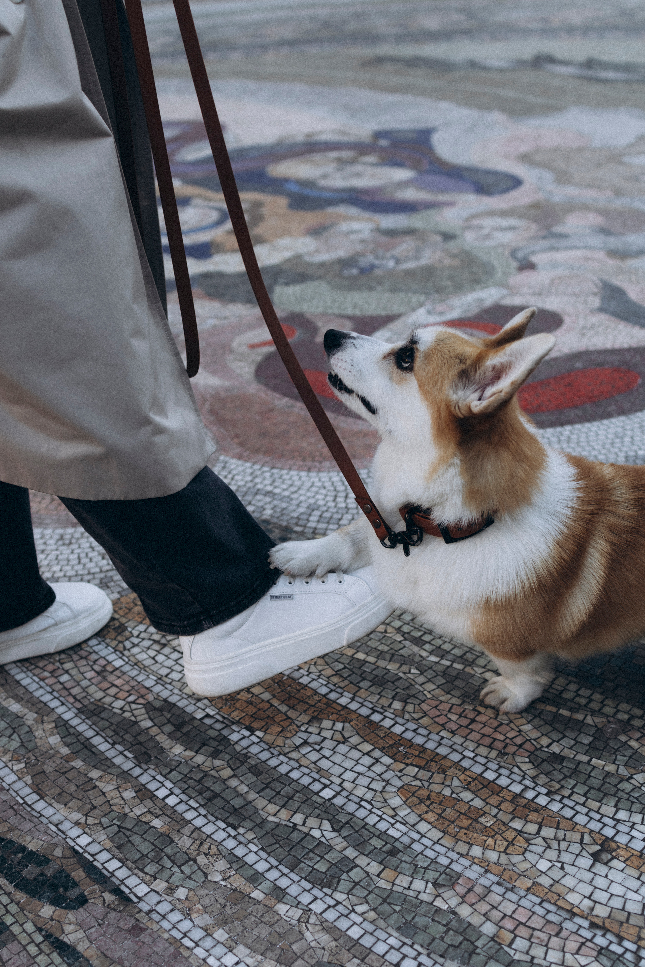 🤍. Снимаю любовь