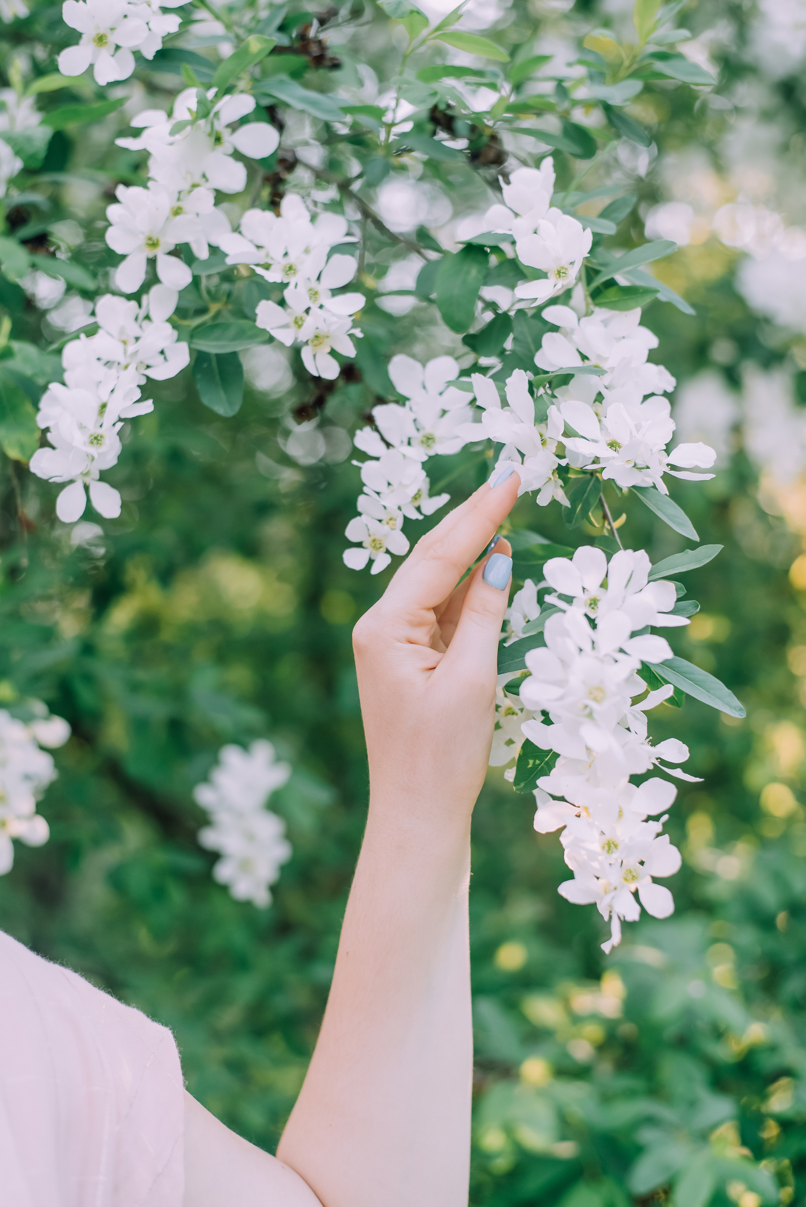 Екатерина. Фотограф в Краснодаре Зеленкина Дарья