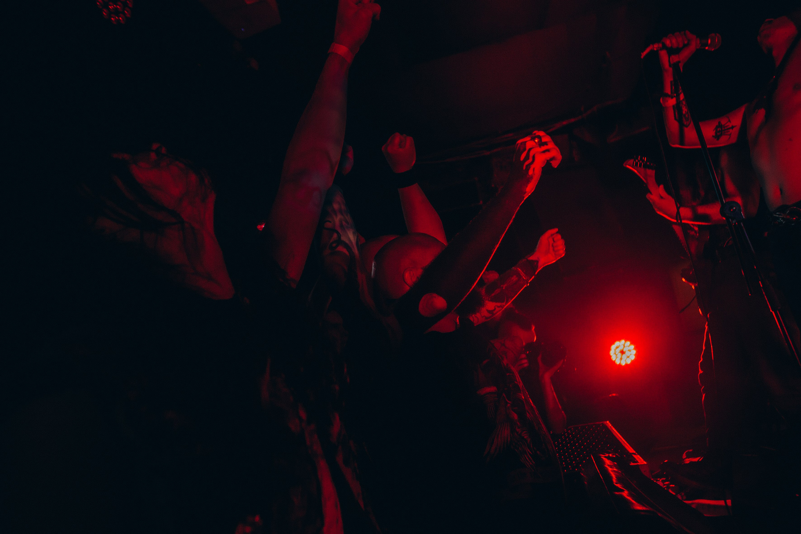 Презентация альбома Vendel и Ко. Портретный и репортажный фотограф в Москве, Ольга Ларема