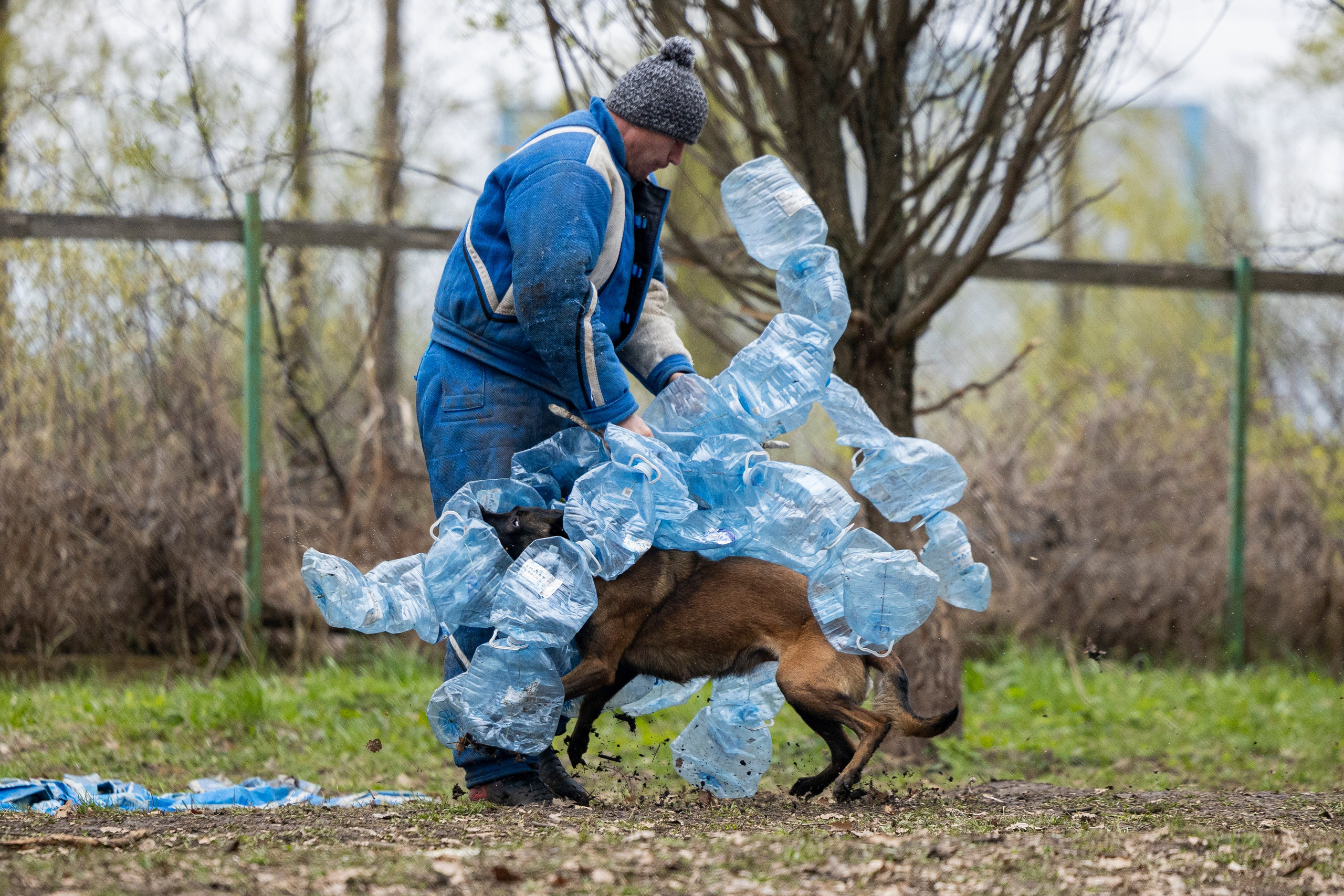 Квалификационные состязания по мондьорингу г. Вологда 11.05.24. Фотограф-анималист Анна Маринич
