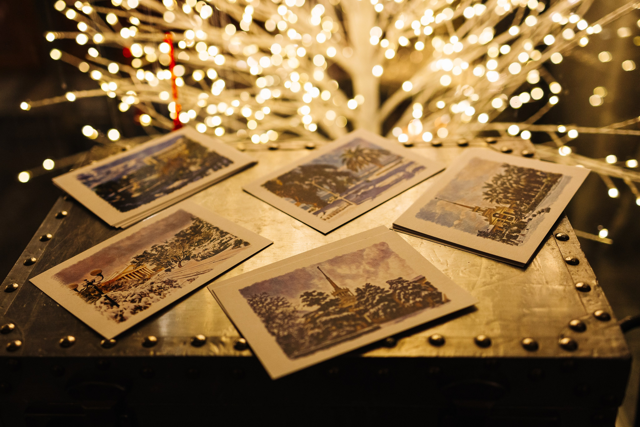 БАРАН РАПАН | РОЖДЕСТВЕНСКИЙ ВЕЧЕР. Фотограф в Сочи Екатерина Потапова