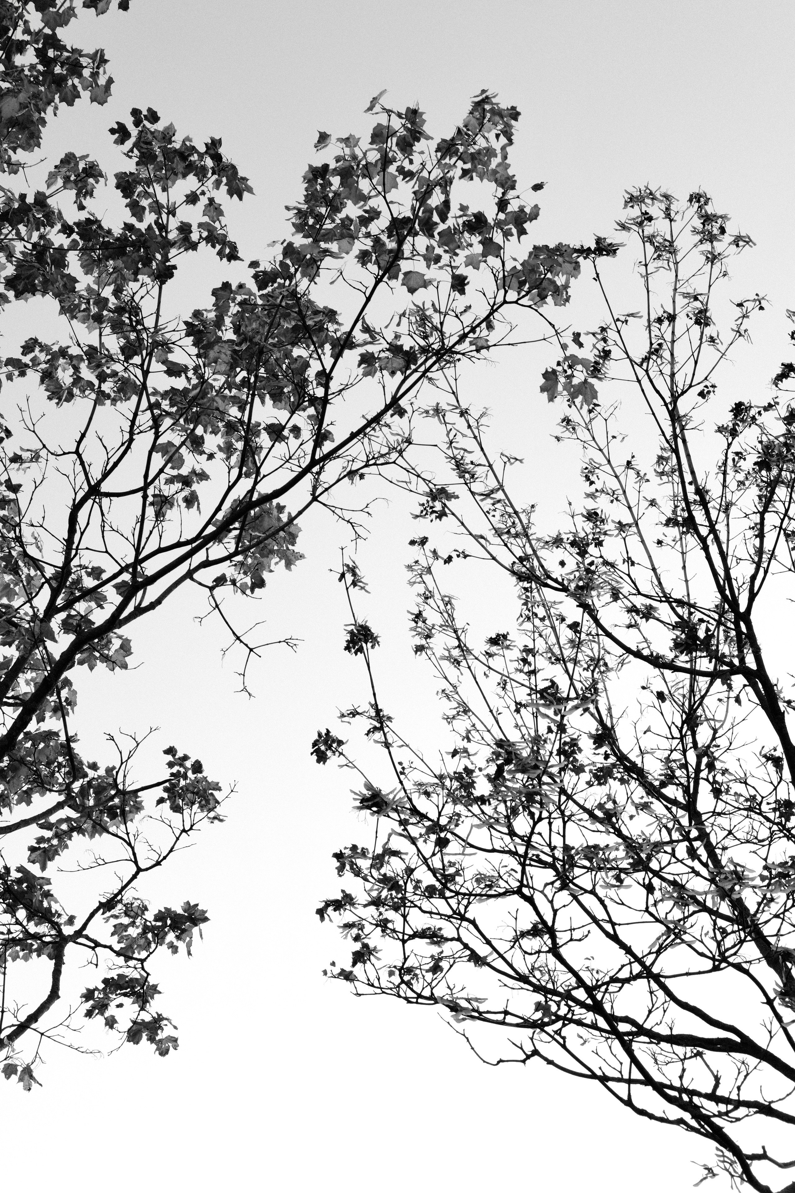 Природа. Фотограф Маргана Лоция