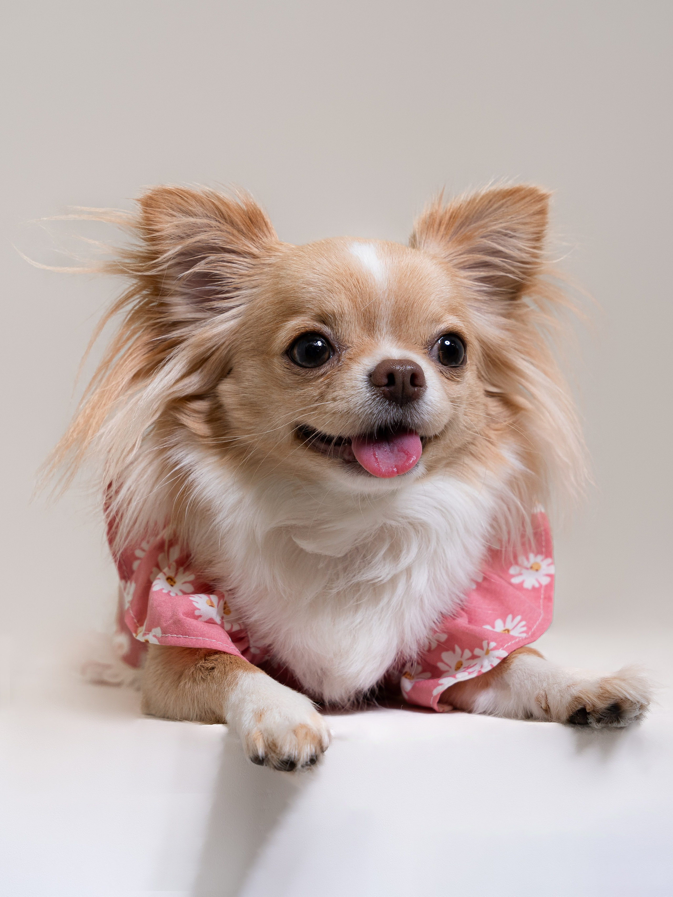 Мася: студийная история. Портретный и репортажный фотограф в Воронеже: Анастасия Пузикова