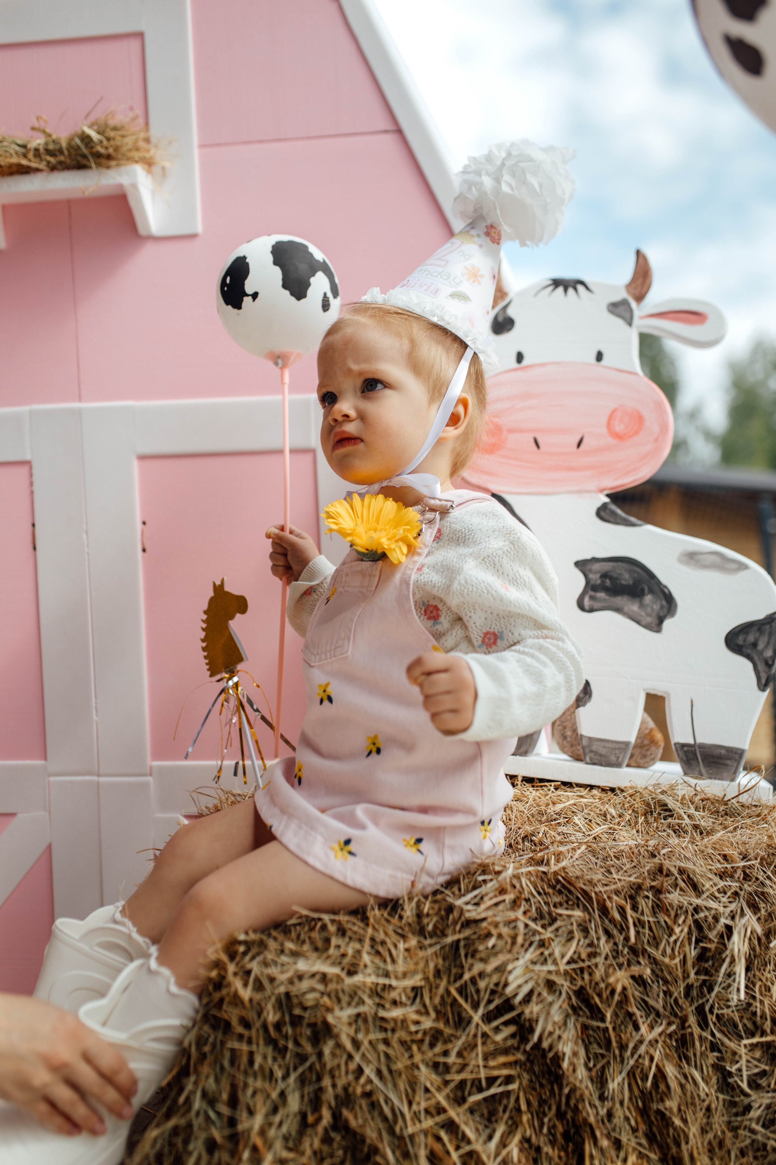 Репортаж дома, др