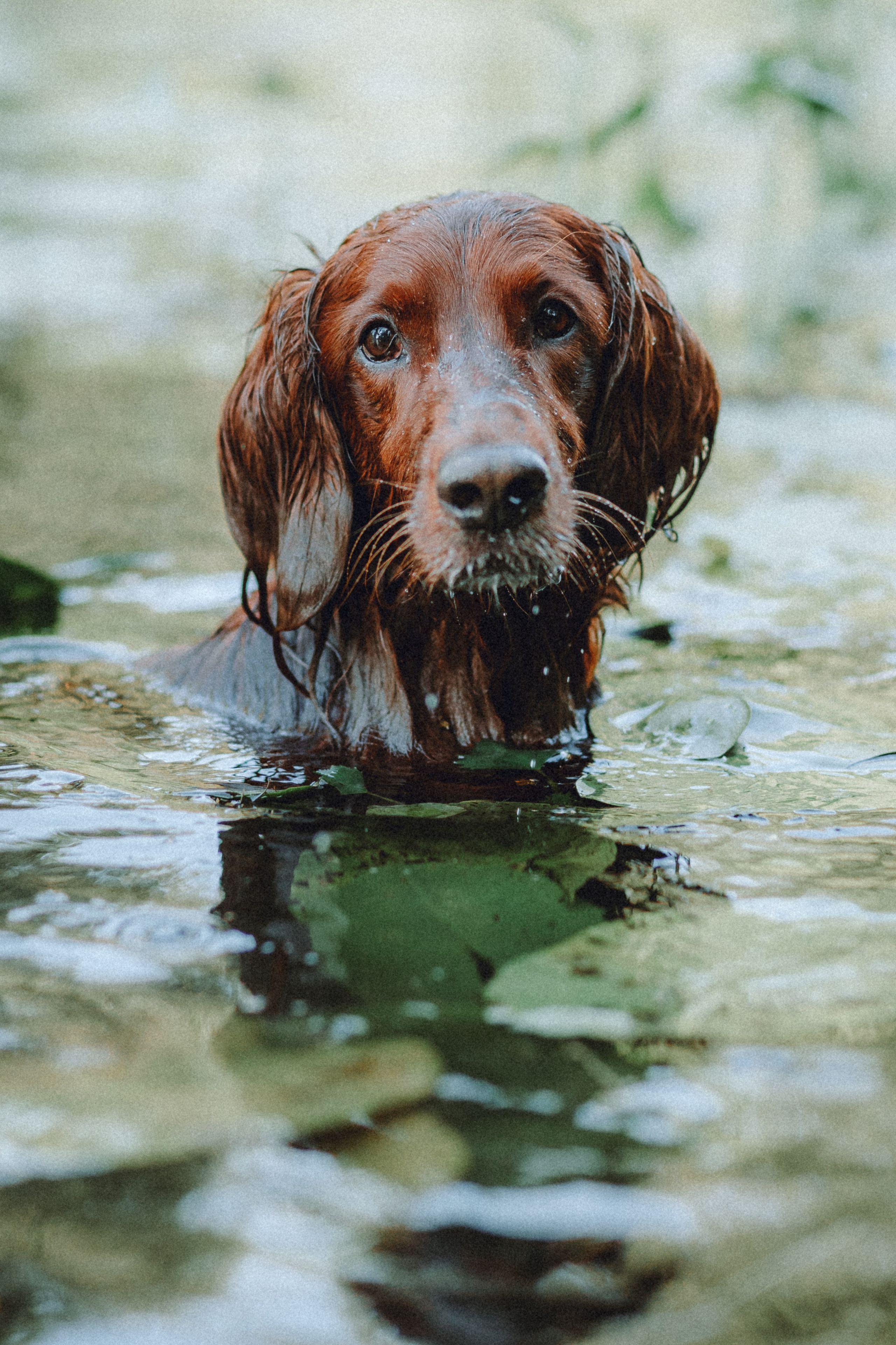 Маша и Джерри