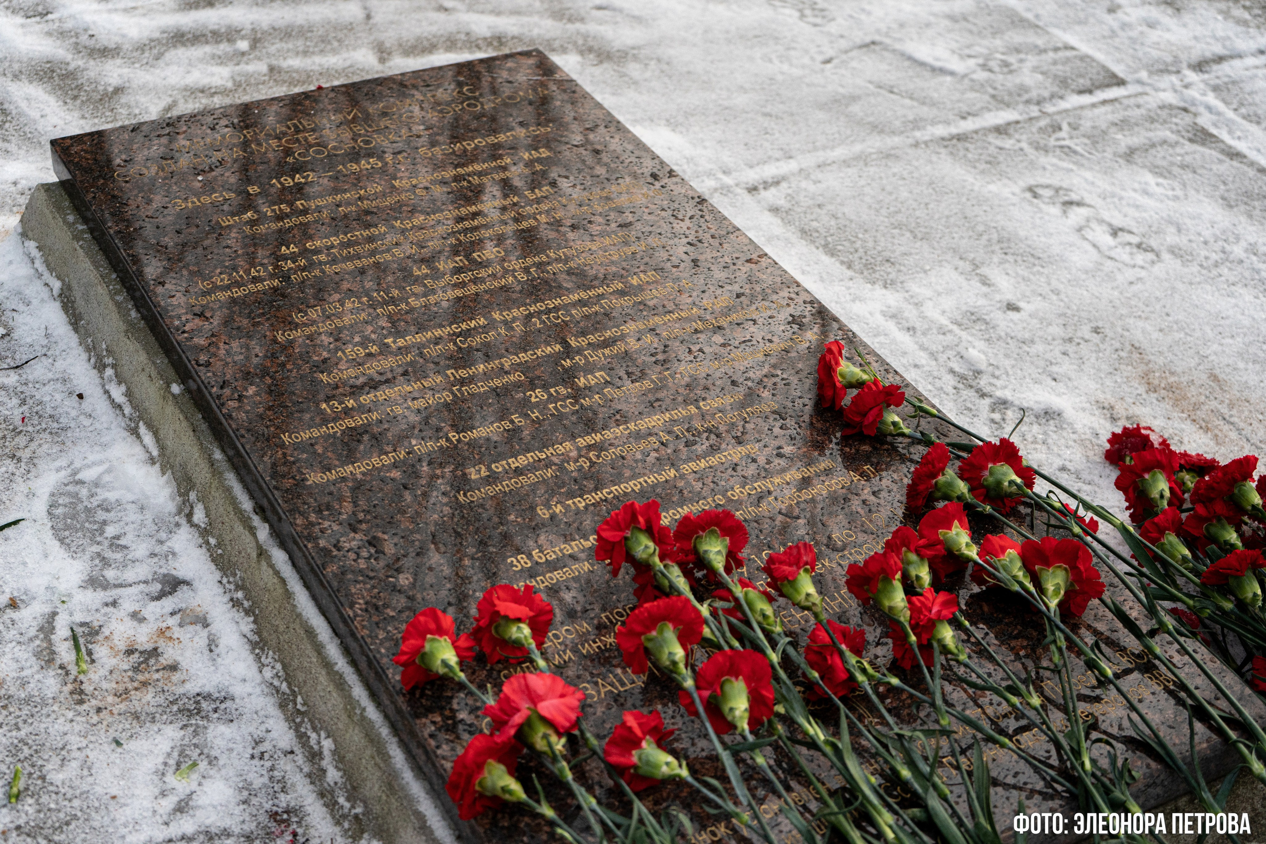 27 января. Видеограф, фотограф в Санкт-Петербурге Элеонора Петрова