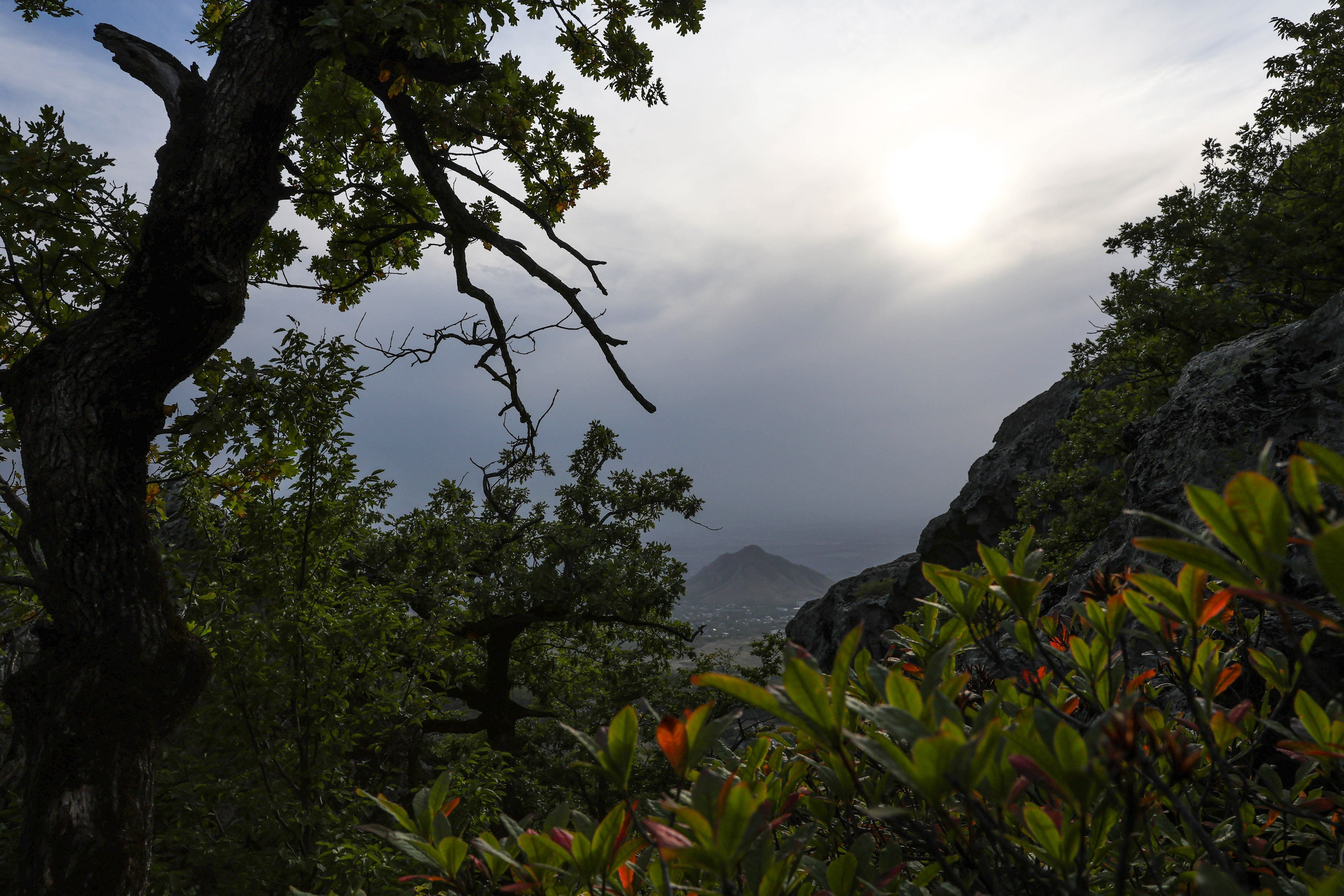 Фотограф Мария Алексеева. Мария Алексеева. Фотограф в Москве
