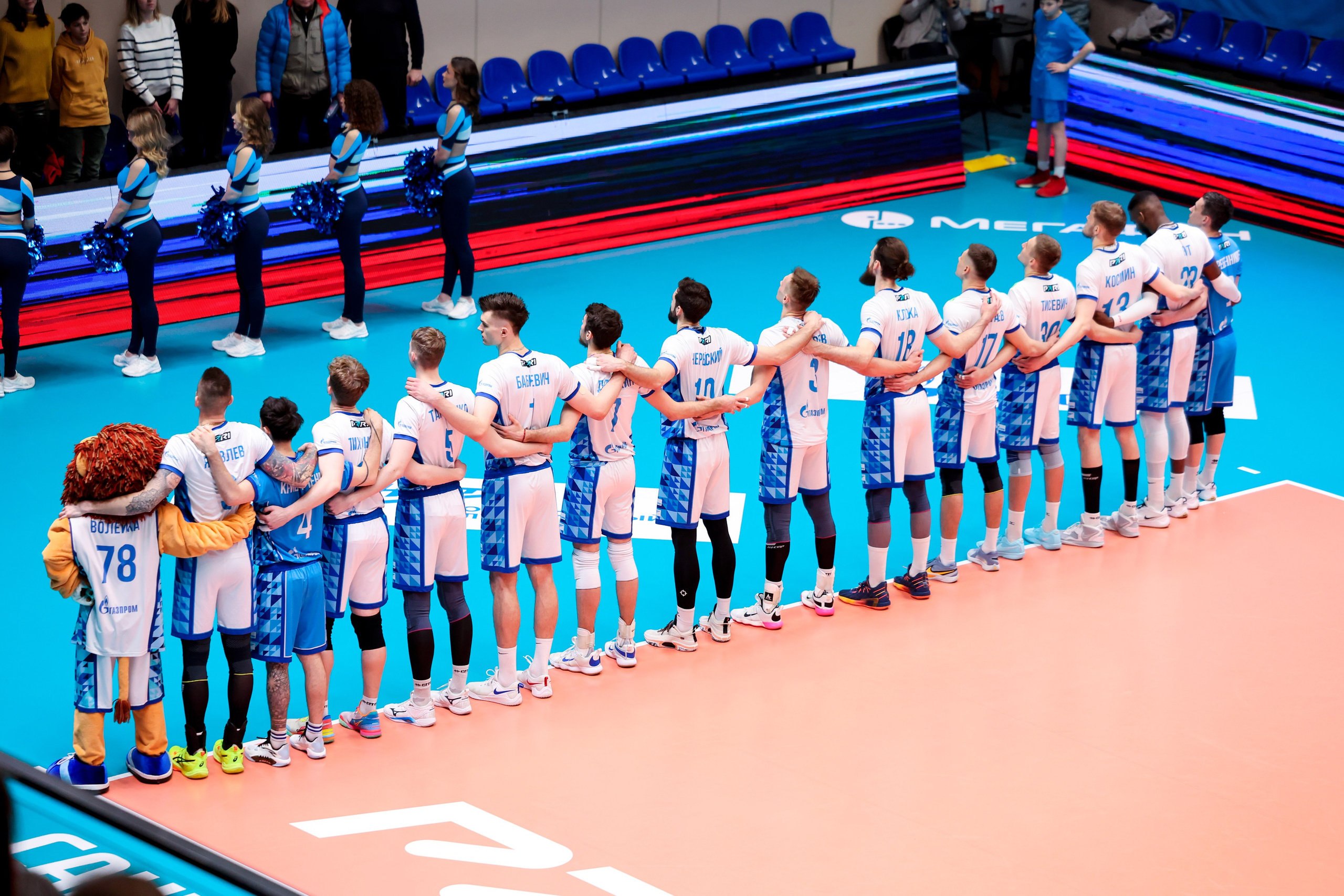 ВК Зенит — ВК АСК 15.03.2025. Спортивный и репортажный фотограф Антон Тереханов