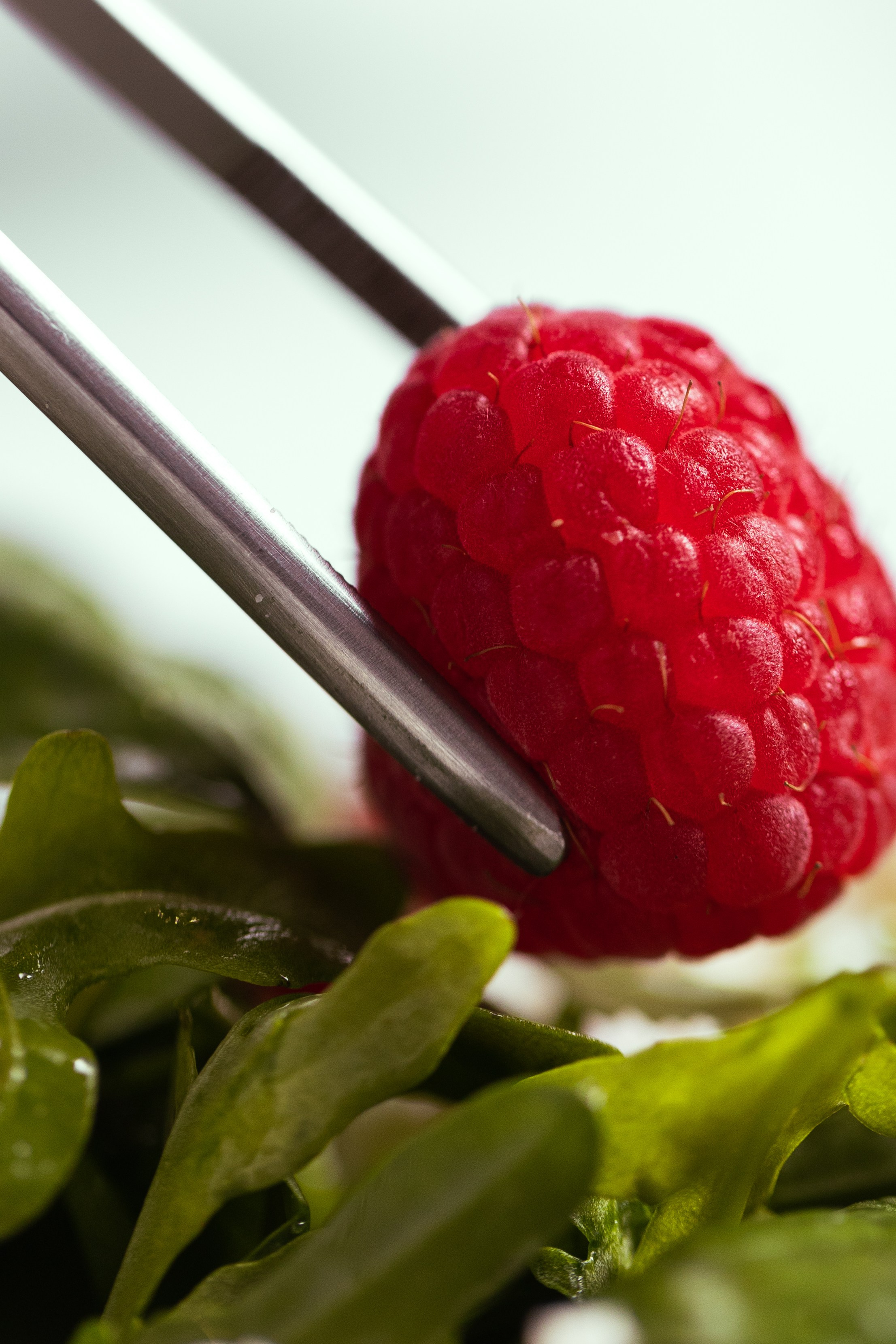 Портфолио контент фото для ресторанов. Контент фотограф в Москве Ник Фрост